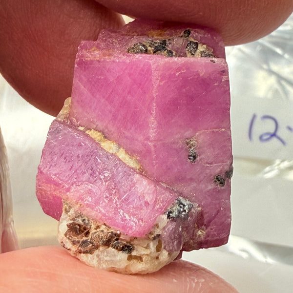 Sapphire Crystal, 12.90gm, Dodoma, Tanzania, Untreated Unheated