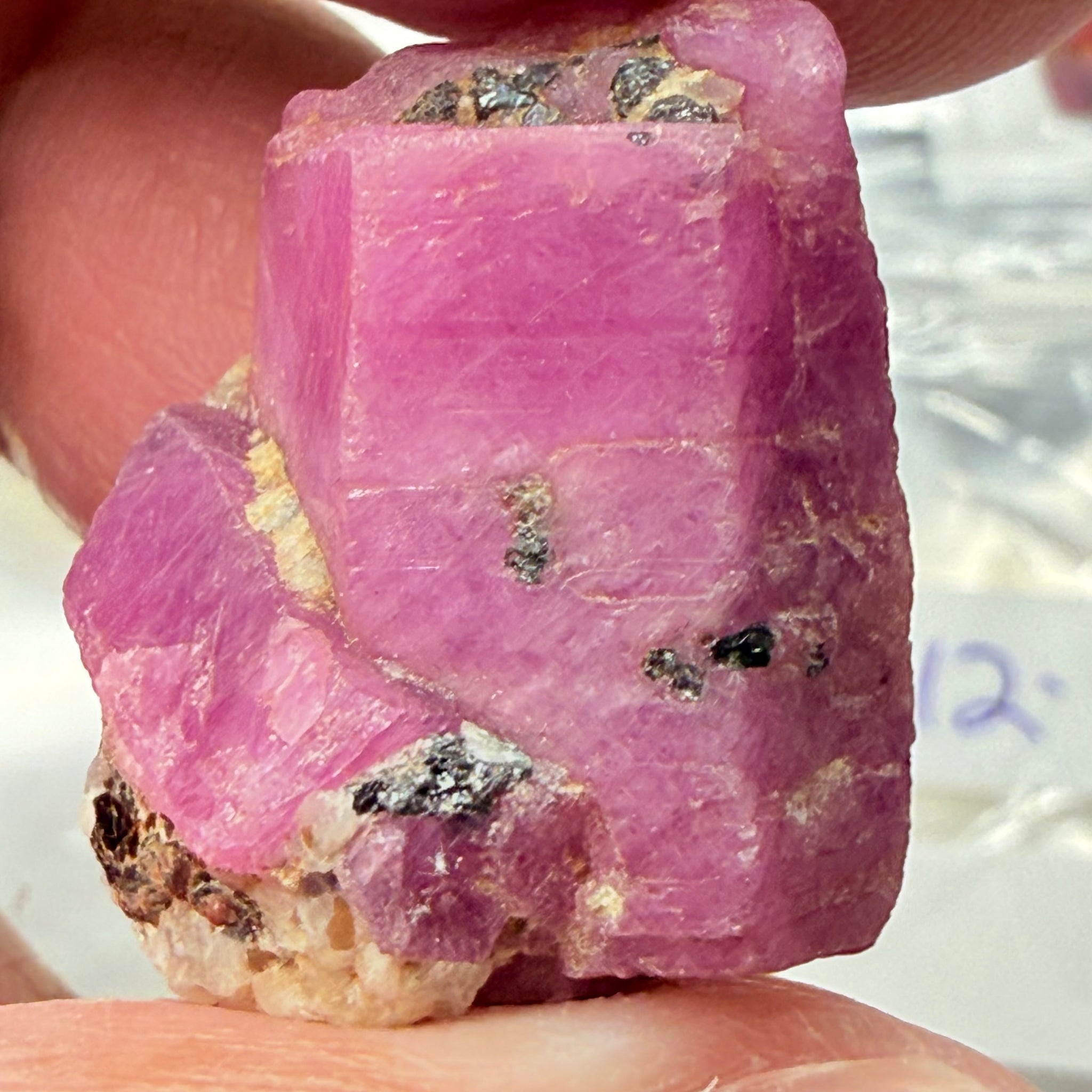 Sapphire Crystal, 12.90gm, Dodoma, Tanzania, Untreated Unheated