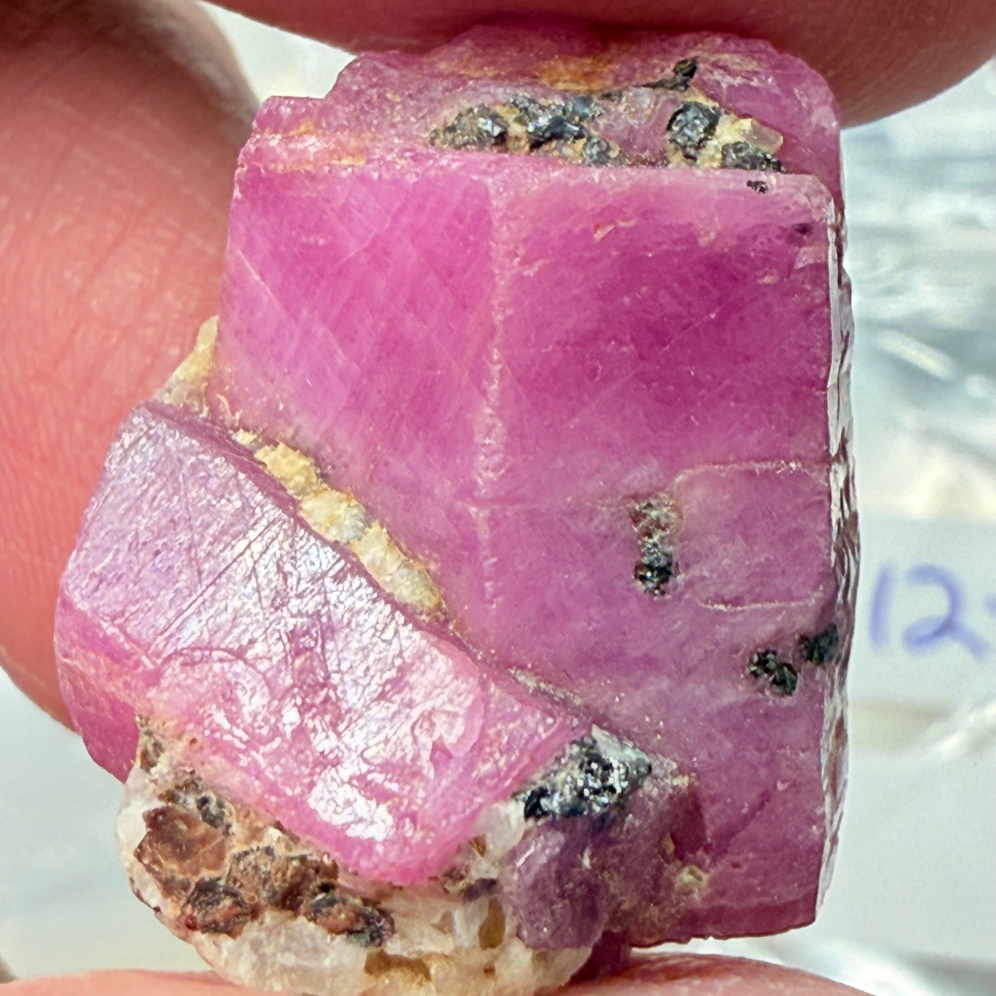 Sapphire Crystal, 12.90gm, Dodoma, Tanzania, Untreated Unheated