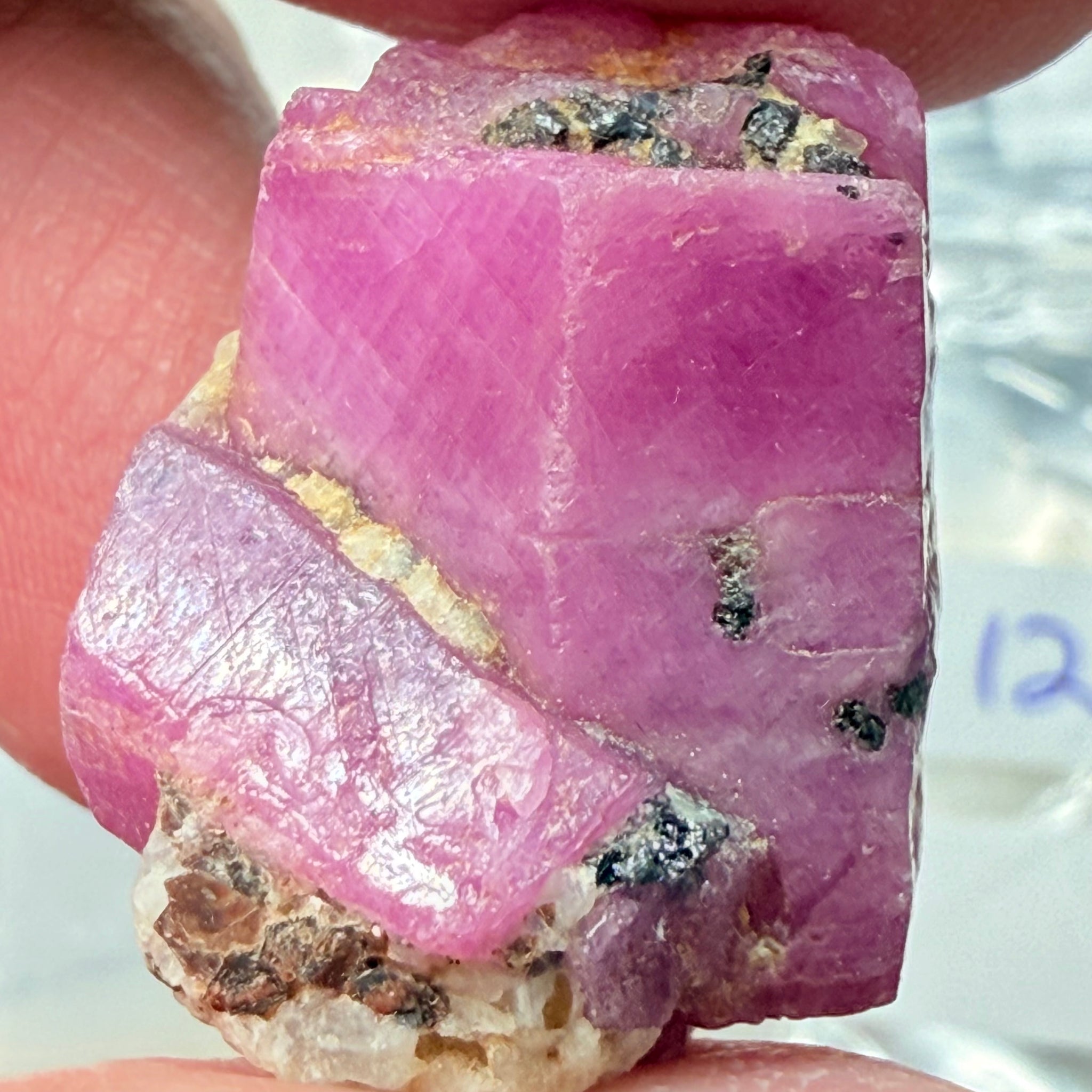 Sapphire Crystal, 12.90gm, Dodoma, Tanzania, Untreated Unheated