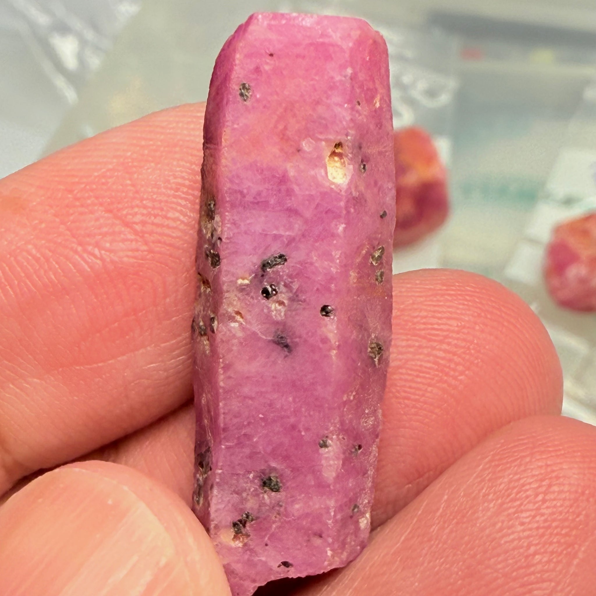 Sapphire Crystal, 6.90gm, Dodoma, Tanzania, Untreated Unheated