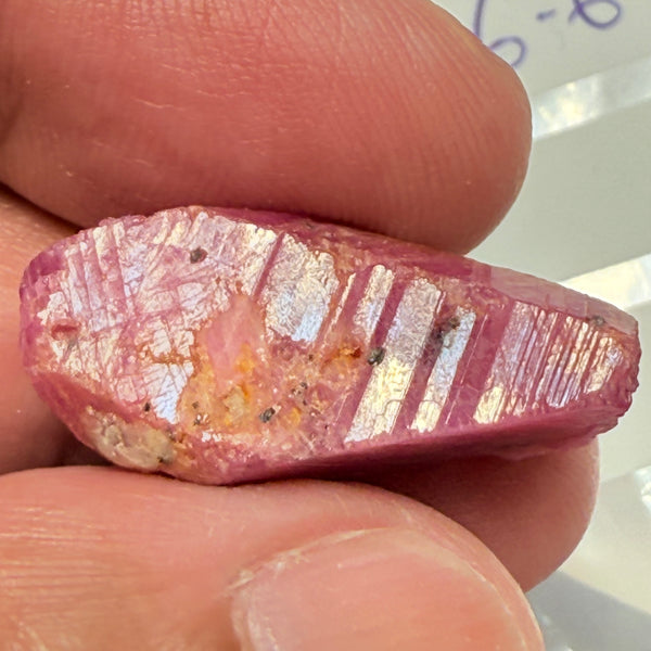 Sapphire Crystal, 6.60gm, Dodoma, Tanzania, Untreated Unheated