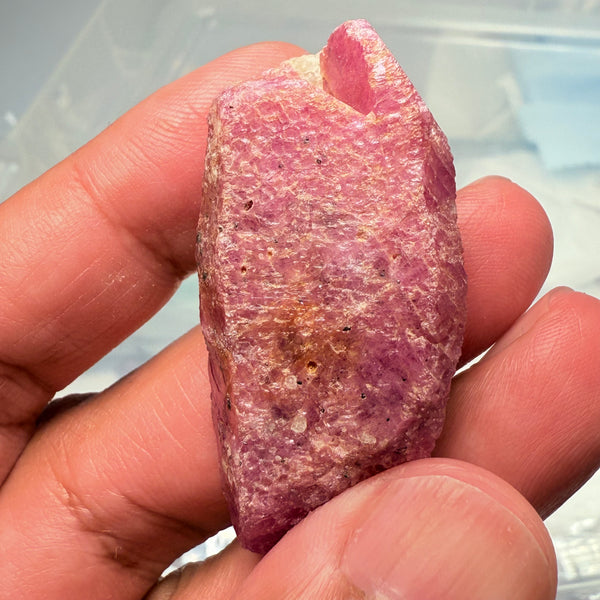 Sapphire Crystal, 31.30gm, Dodoma, Tanzania, Untreated Unheated