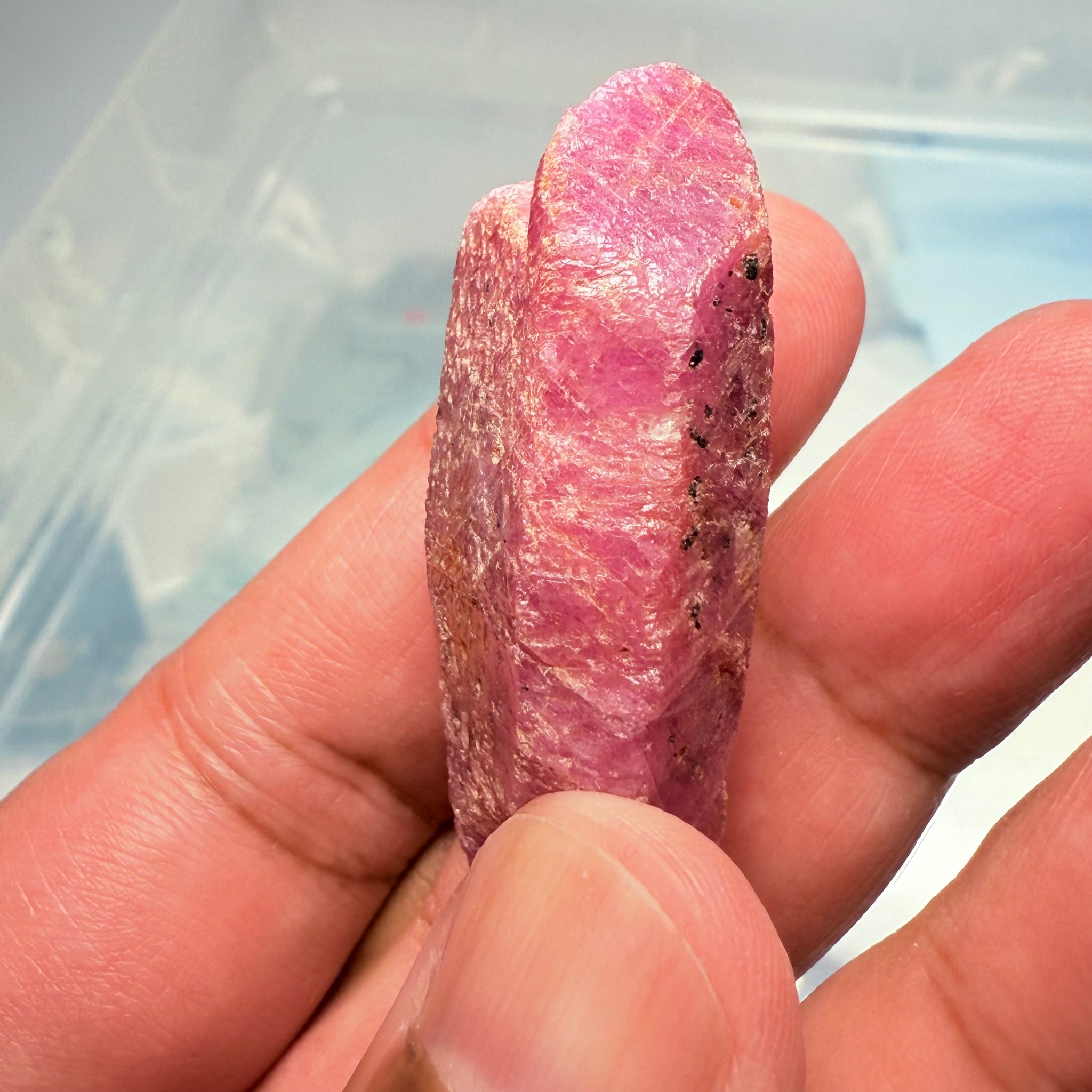 Sapphire Crystal, 31.30gm, Dodoma, Tanzania, Untreated Unheated