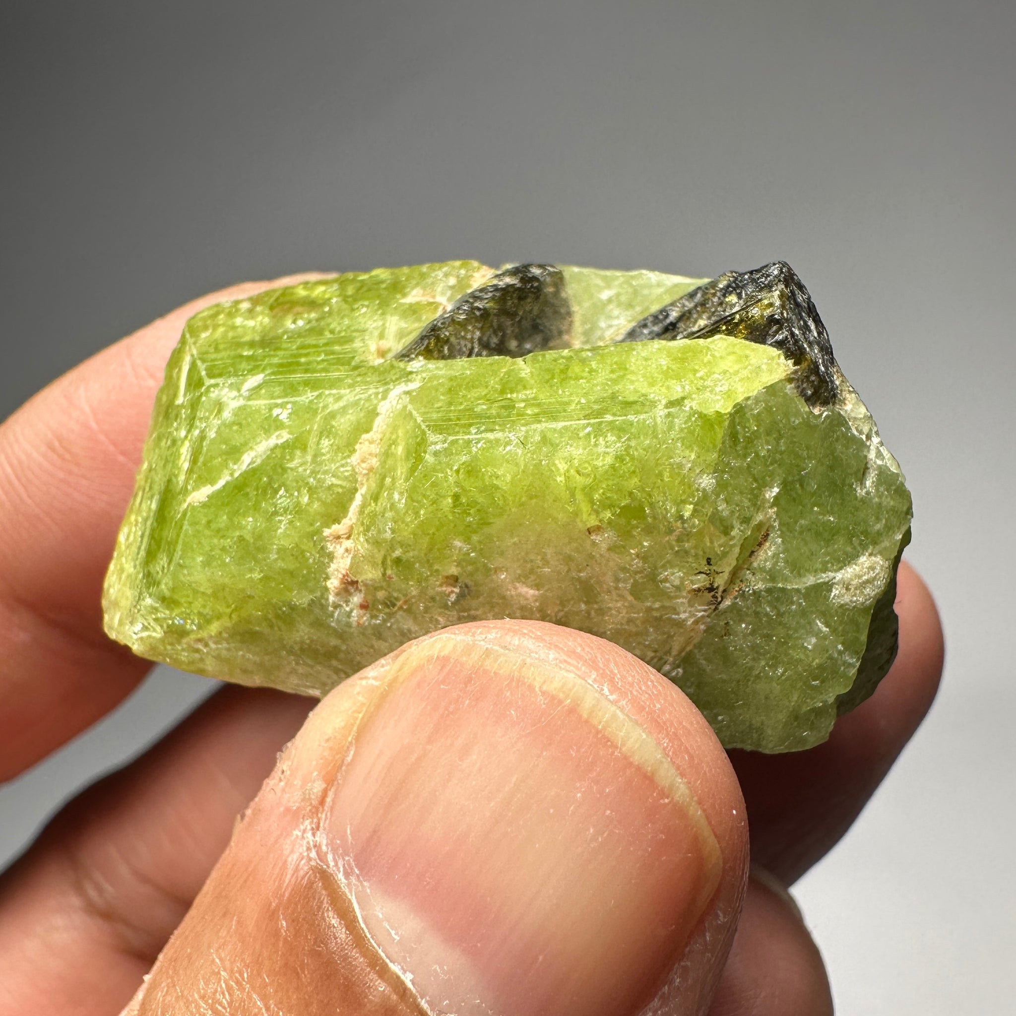 Tsavorite crystal with Tourmaline, 154.84ct, Merelani, Tanzania, Untreated Unheated