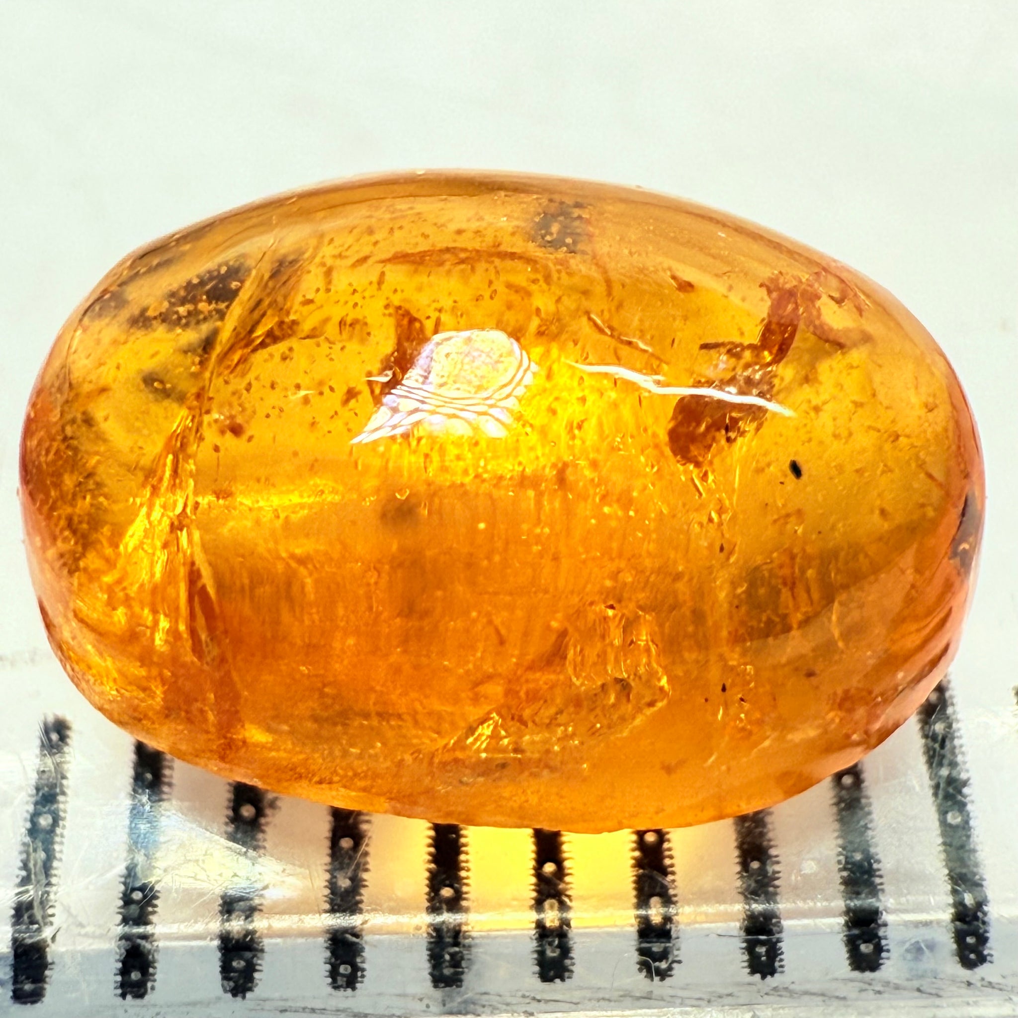 Mandarin Spessartite Cabochon, 3.00ct, Loliondo, Tanzania, Untreated Unheated