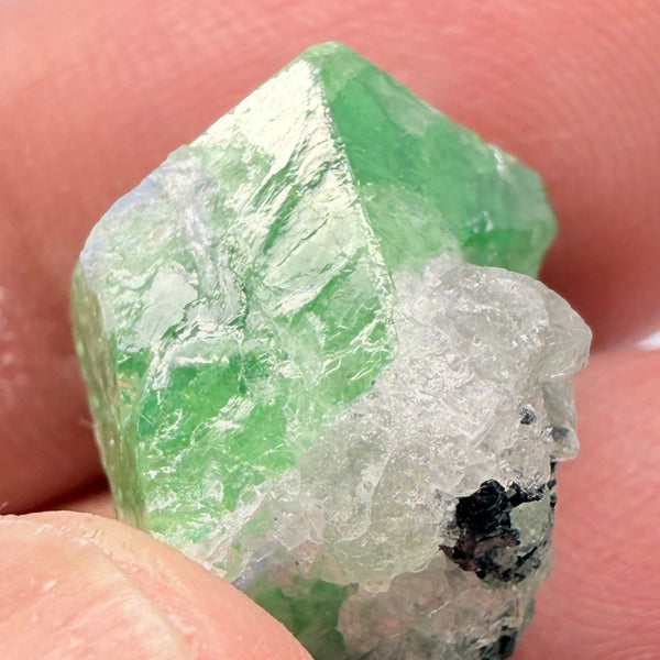 Tsavorite Crystal with bits of Tanzanite on it, 23.41ct, Merelani, Tanzania, Untreated Unheated
