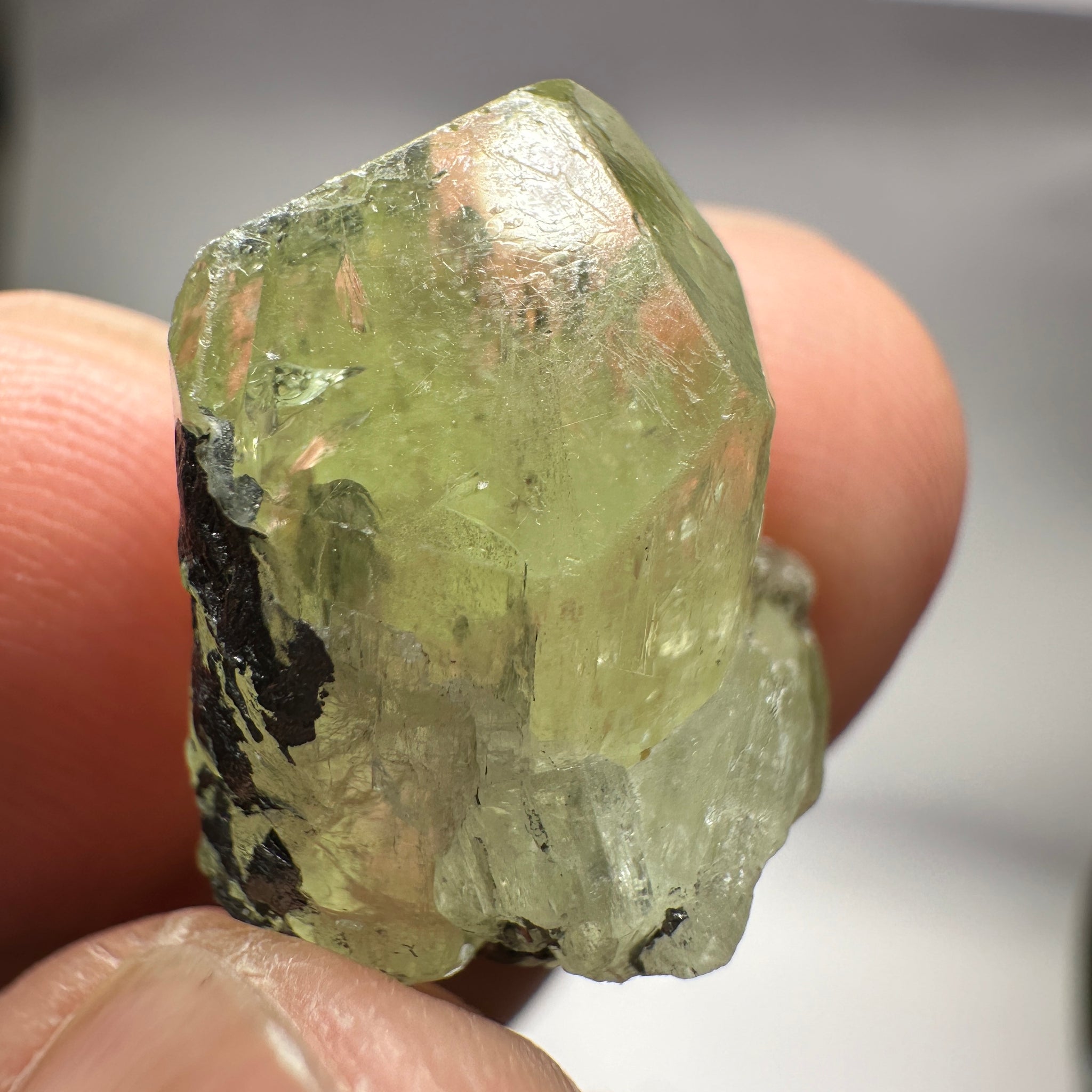 Diopside, 22.86ct, Merelani, Tanzania, Untreated Unheated