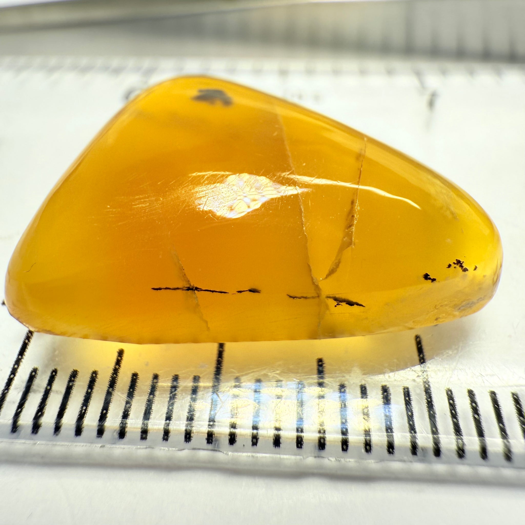 Opal cabochon, 18.57ct, Tanzania, Untreated Unheated