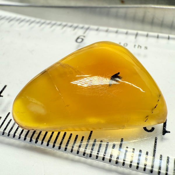 Opal cabochon, 18.57ct, Tanzania, Untreated Unheated