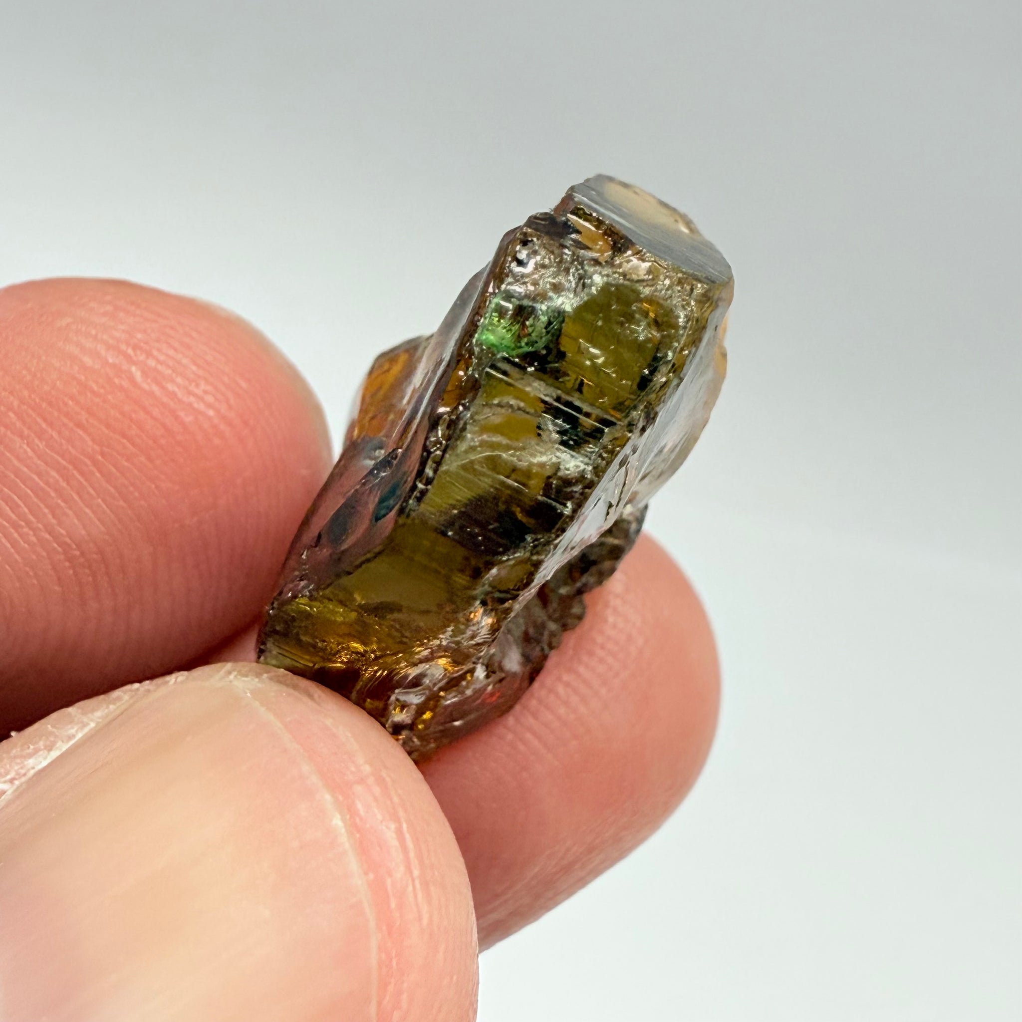 Tourmaline, 26.07ct, Morogoro, Tanzania, Untreated Unheated, vvs-if with some cracks on the outside skin, flat shape, good for setting as is in jewellery