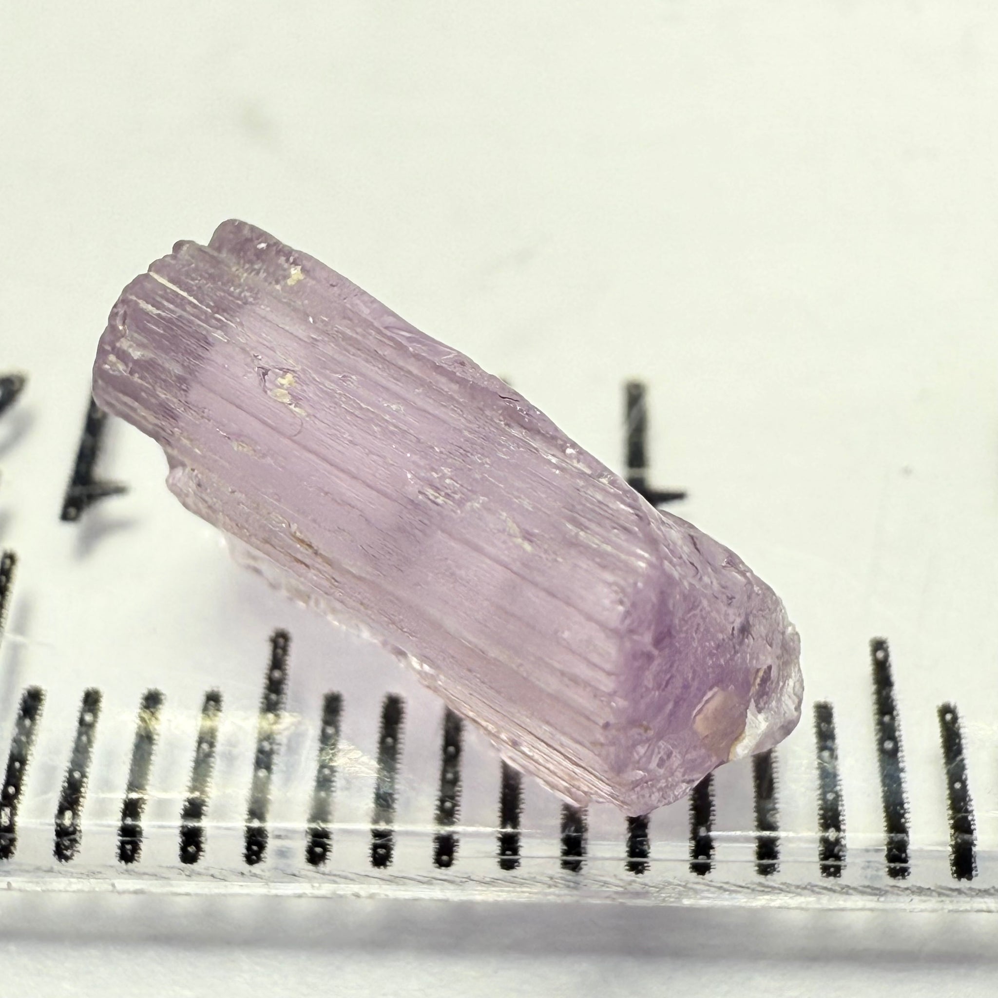 Purple Scapolite, 2.45ct, Tanzania, Untreated Unheated, vvs