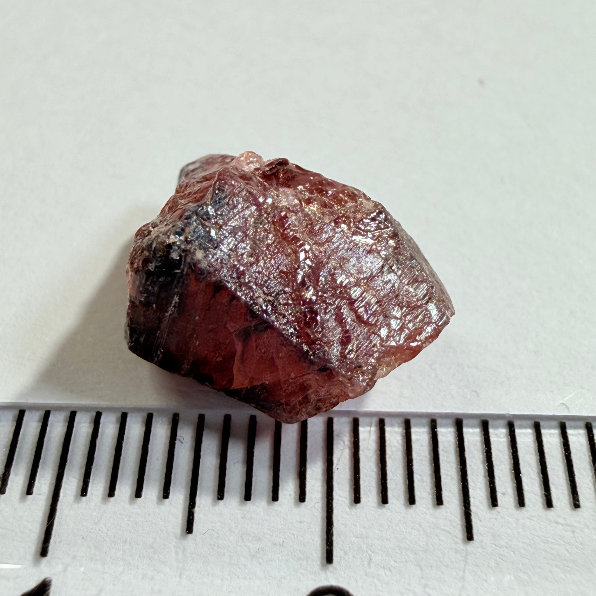 Winza Sapphire Crystal, 10.73ct, Winza, Tanzania, Untreated Unheated, you can cab it, leave as is or set it in jewellery, see backlit pics