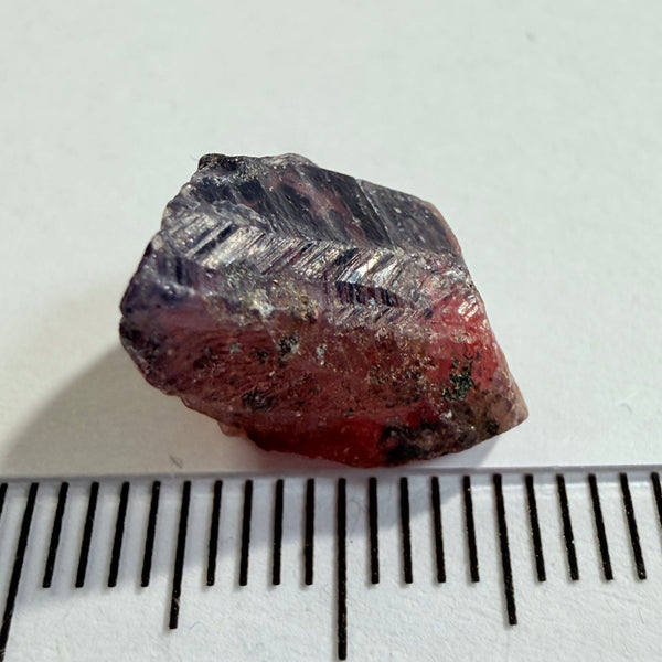 Winza Sapphire Crystal, 10.73ct, Winza, Tanzania, Untreated Unheated, you can cab it, leave as is or set it in jewellery, see backlit pics