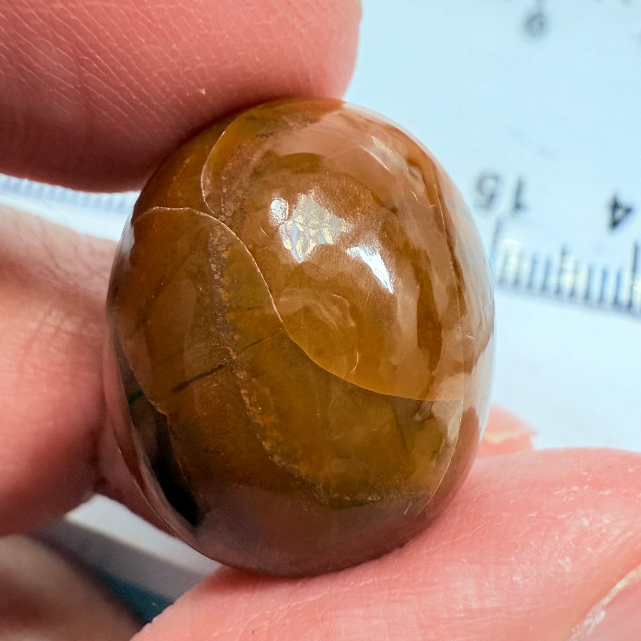 Opal, 23.79ct, Tanzania, Untreated Unheated