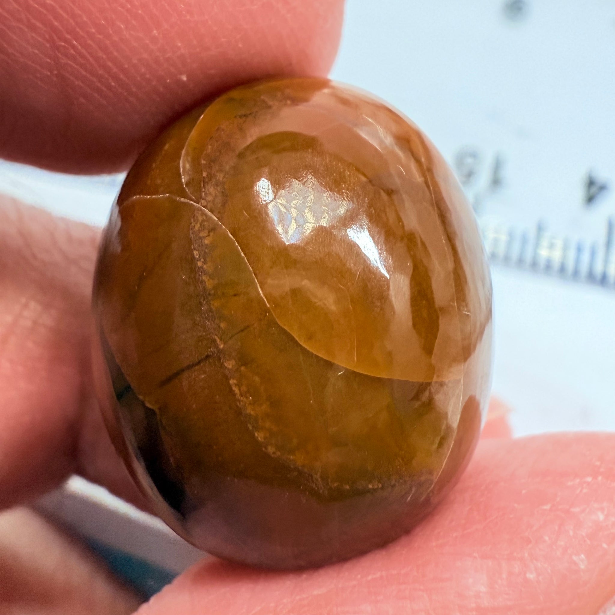 Opal, 23.79ct, Tanzania, Untreated Unheated