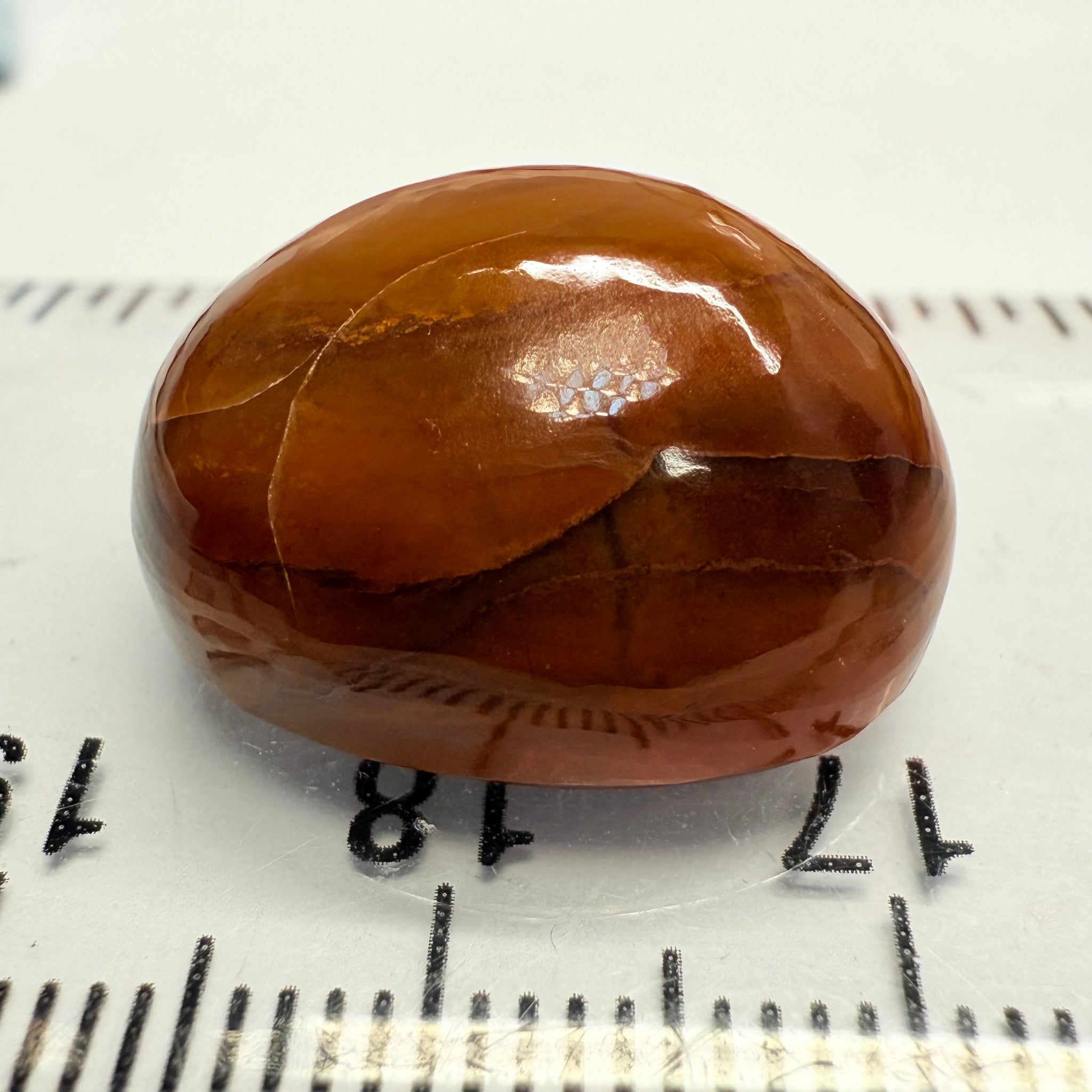 Opal, 23.79ct, Tanzania, Untreated Unheated