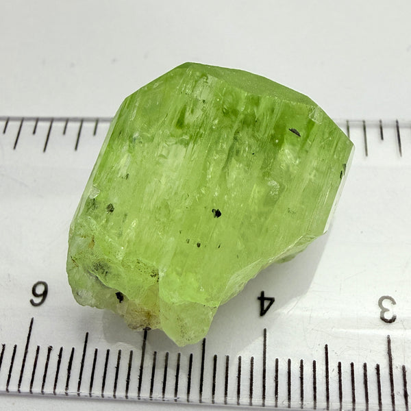 Diopside Crystal, 41.89ct, Merelani, Tanzania, Untreated Unheated