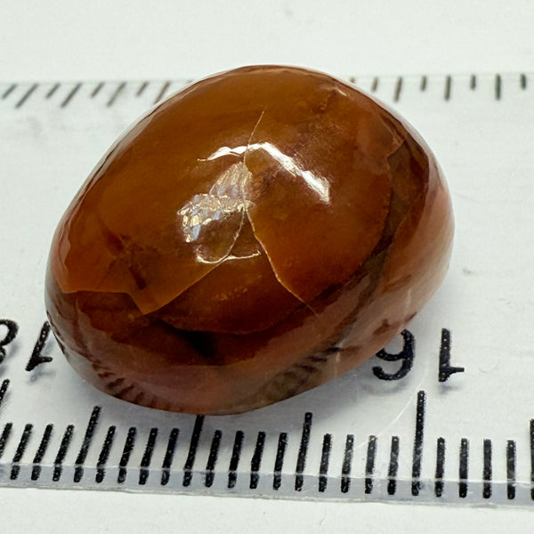 Opal, 23.79ct, Tanzania, Untreated Unheated