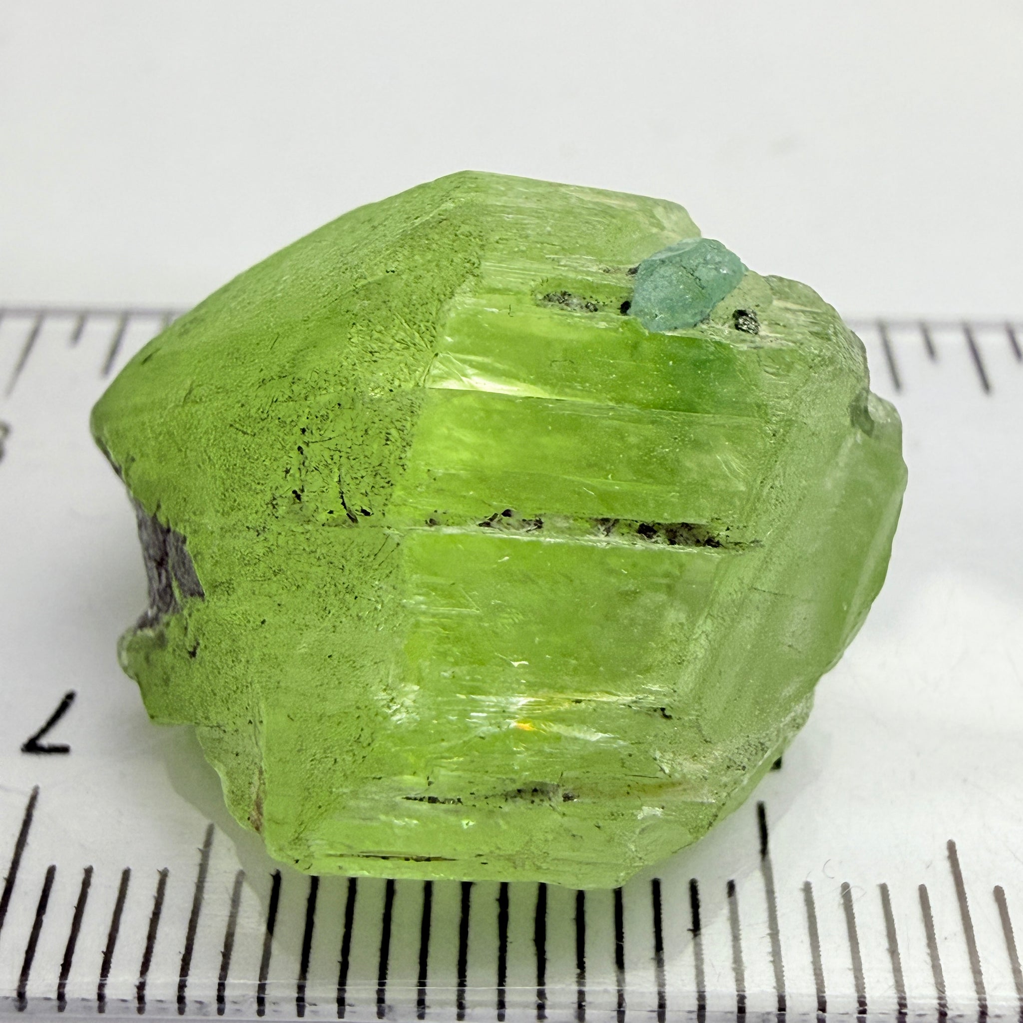 Diopside Crystal with Blue Apatite, 41.52ct, Merelani, Tanzania, Untreated Unheated