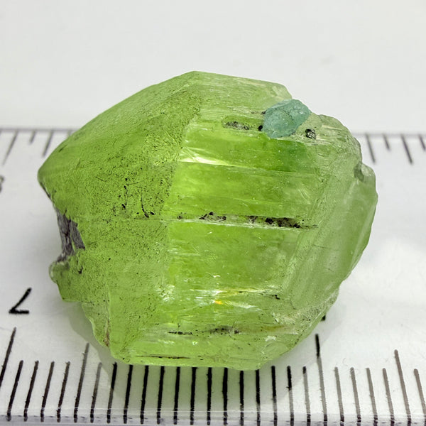 Diopside Crystal with Blue Apatite, 41.52ct, Merelani, Tanzania, Untreated Unheated