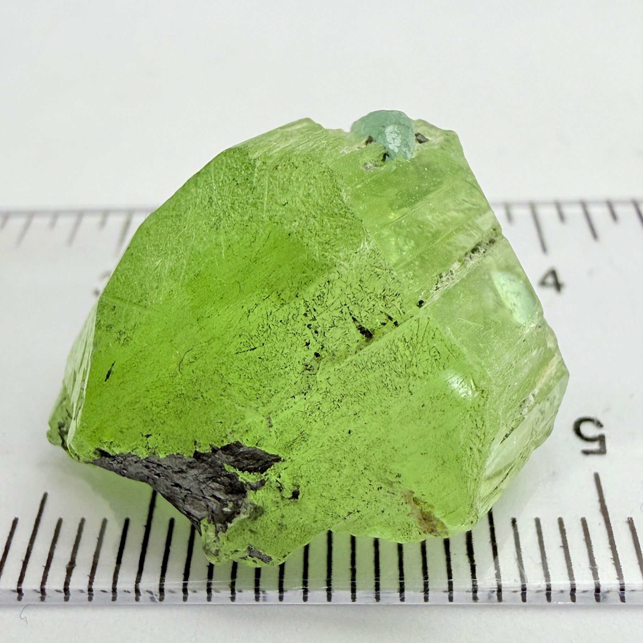 Diopside Crystal with Blue Apatite, 41.52ct, Merelani, Tanzania, Untreated Unheated