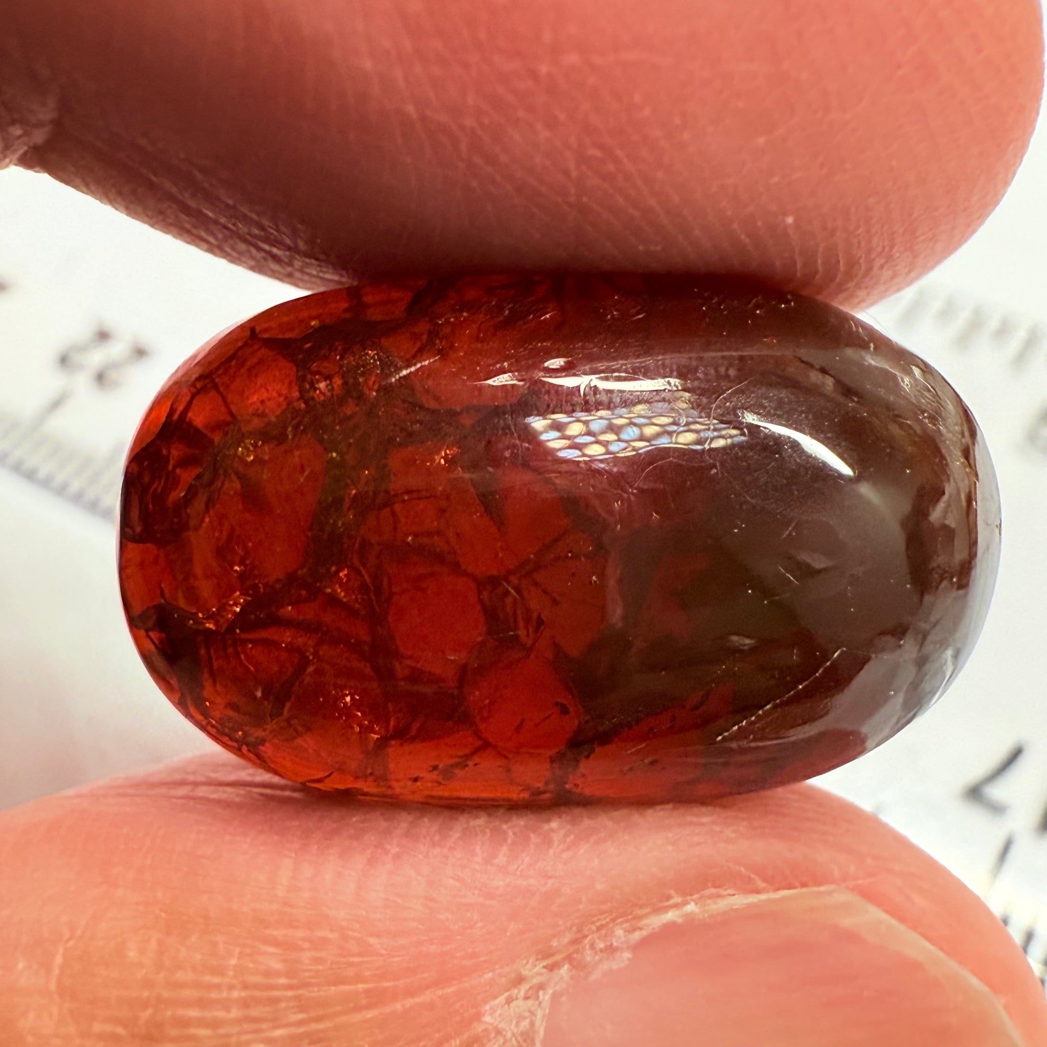 Opal, 17.57ct, Tanzania, Untreated Unheated