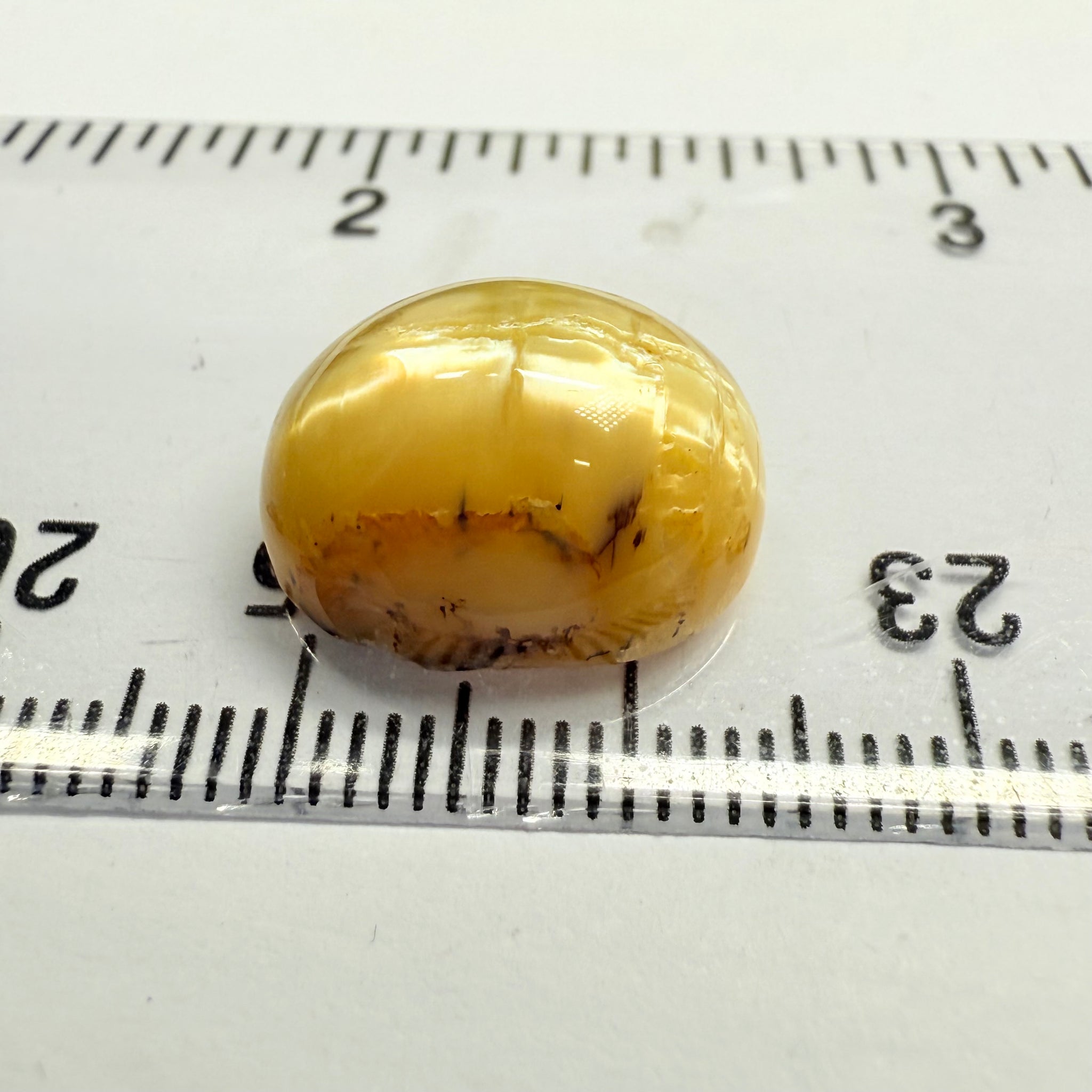 Cats-Eye Opal, 10.11ct, Tanzania, Untreated Unheated