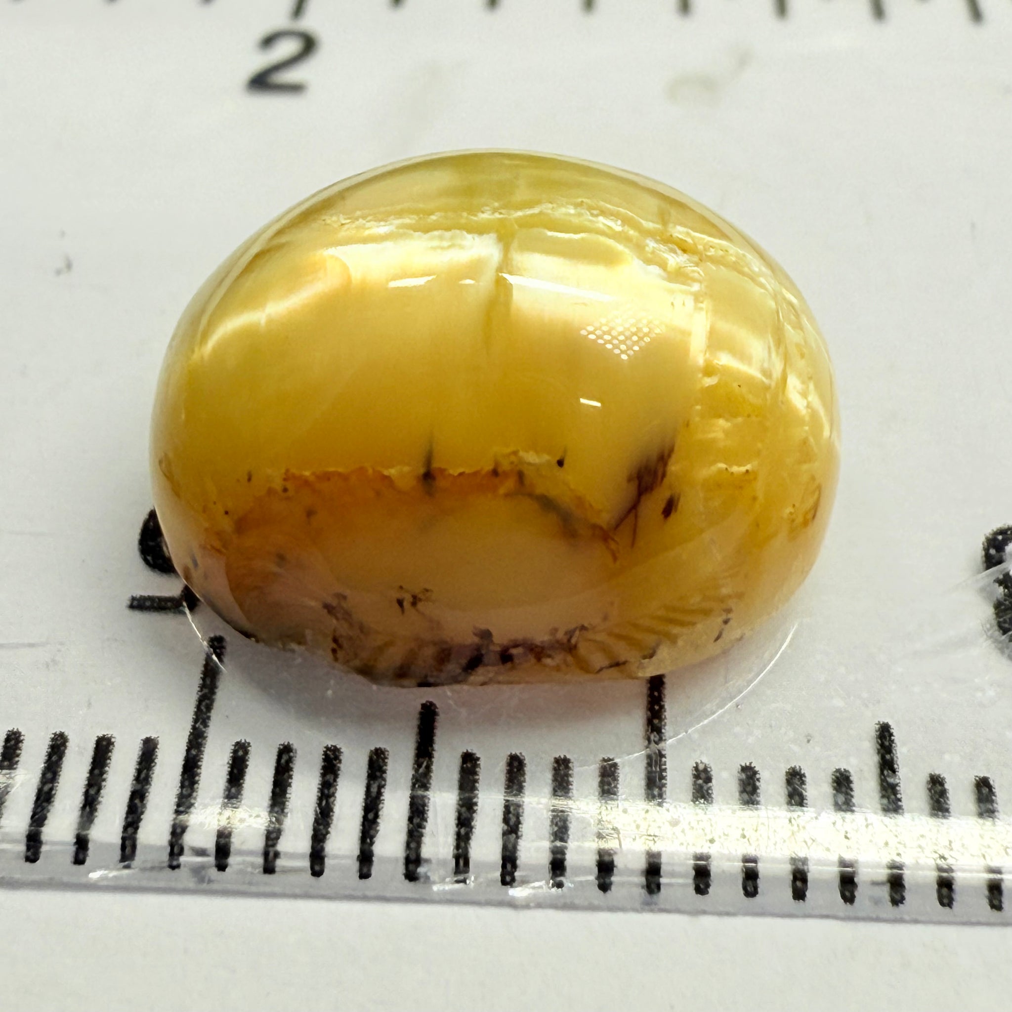 Cats-Eye Opal, 10.11ct, Tanzania, Untreated Unheated