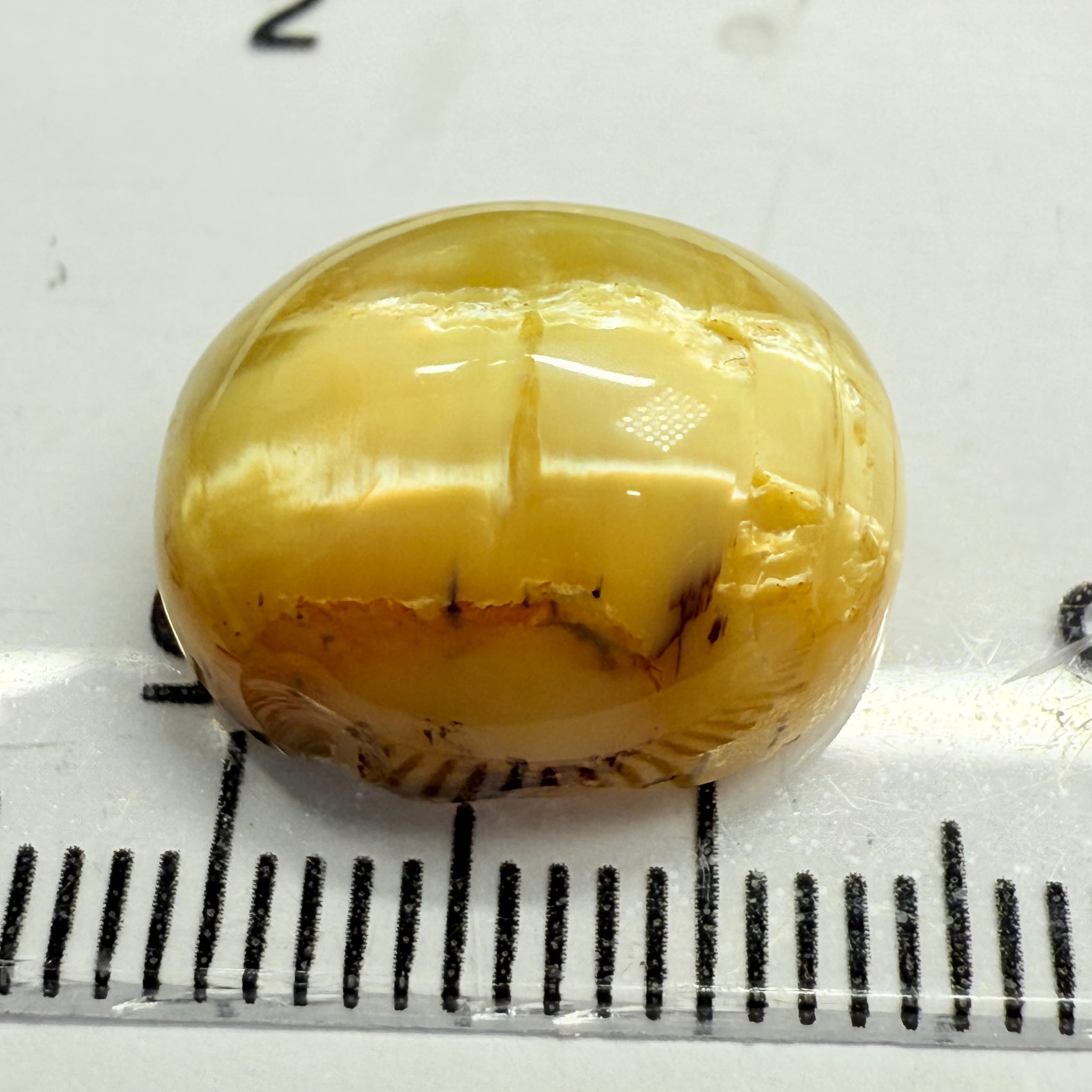 Cats-Eye Opal, 10.11ct, Tanzania, Untreated Unheated