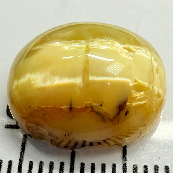 Cats-Eye Opal, 10.11ct, Tanzania, Untreated Unheated