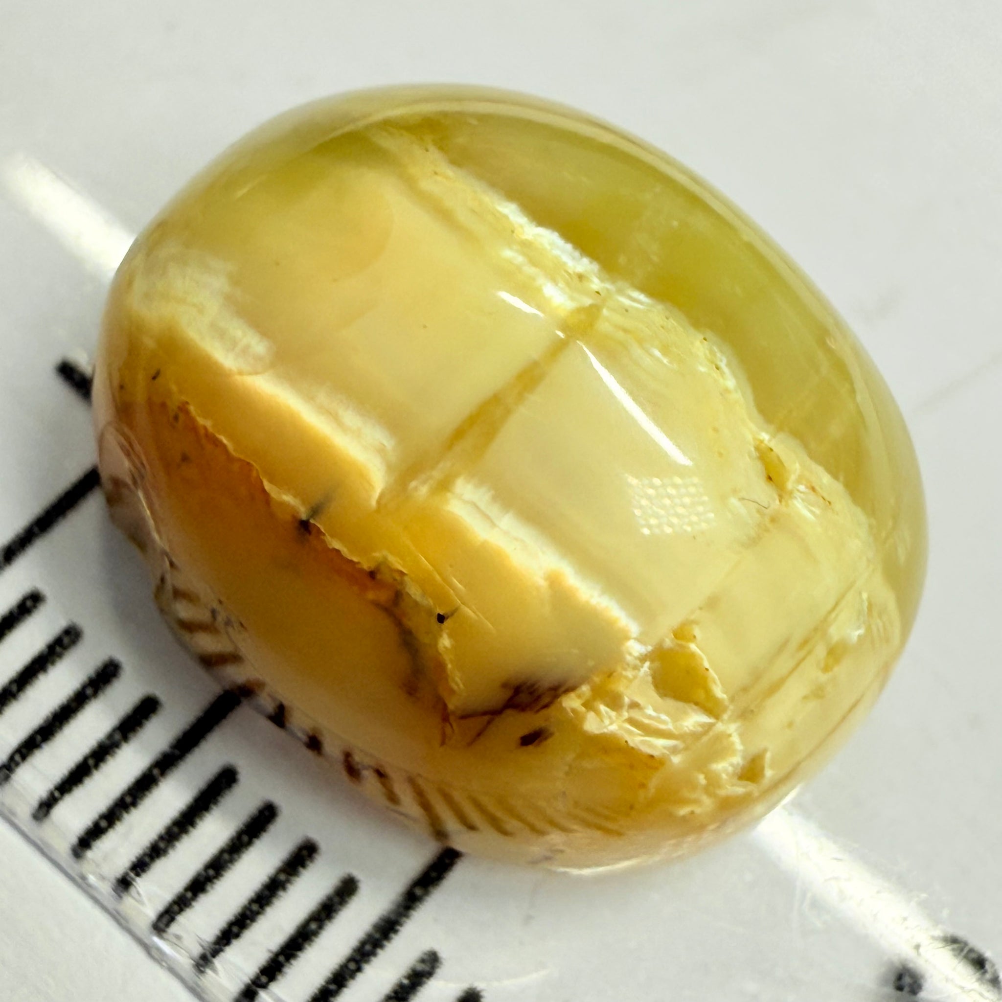 Cats-Eye Opal, 10.11ct, Tanzania, Untreated Unheated