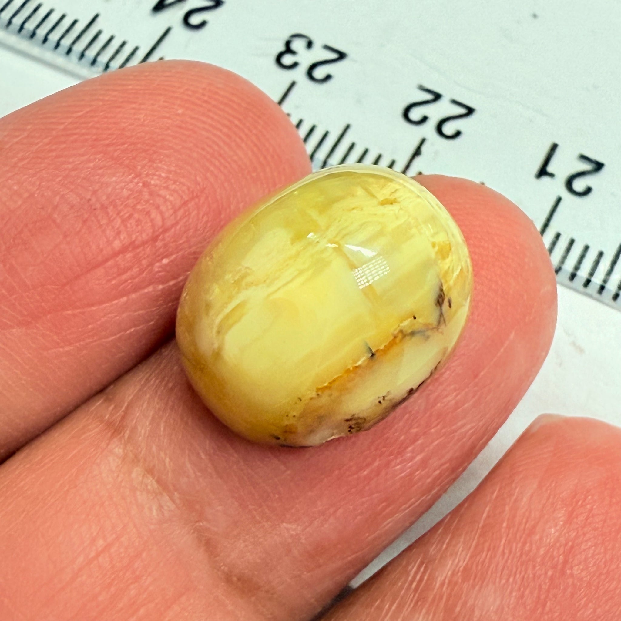 Cats-Eye Opal, 10.11ct, Tanzania, Untreated Unheated