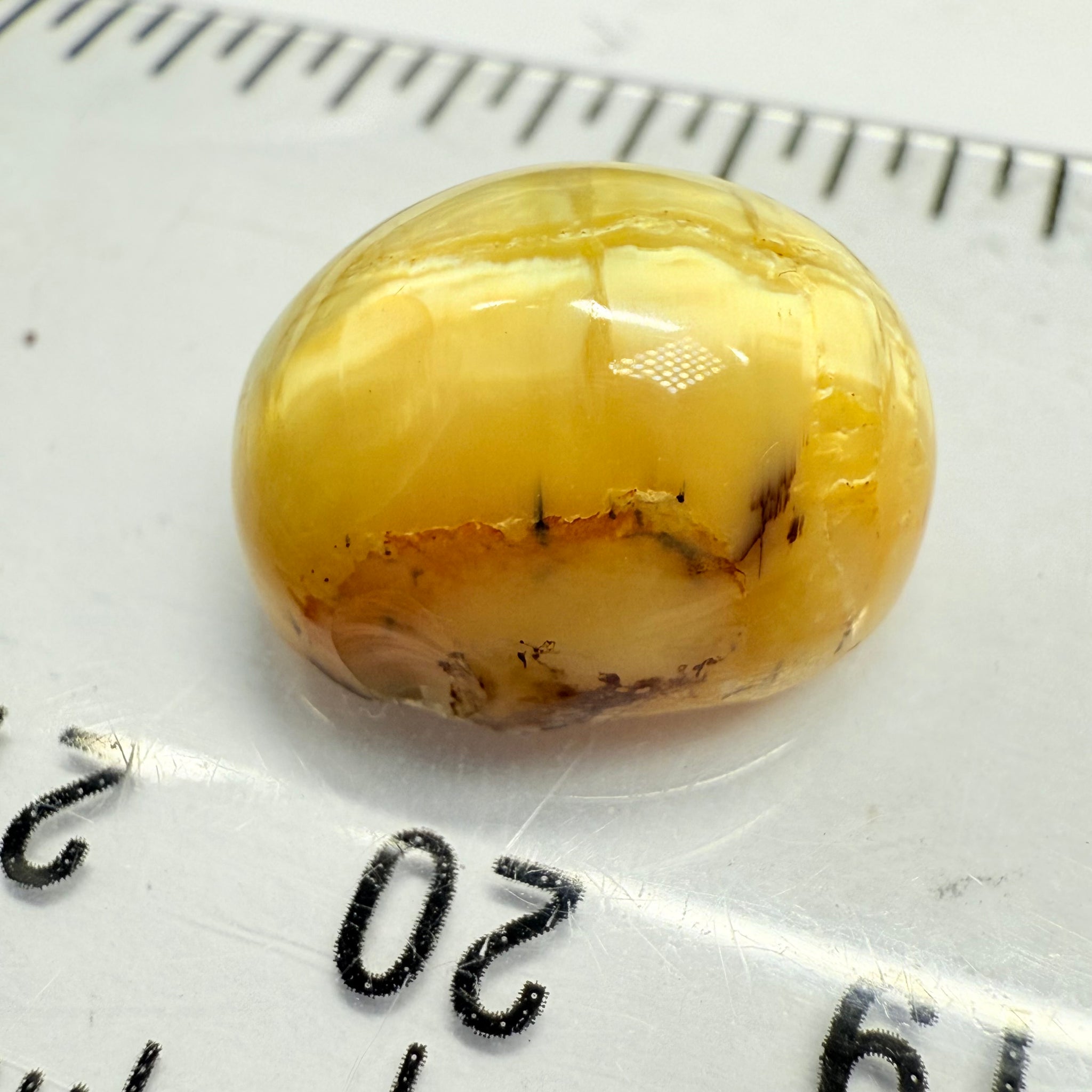 Cats-Eye Opal, 10.11ct, Tanzania, Untreated Unheated
