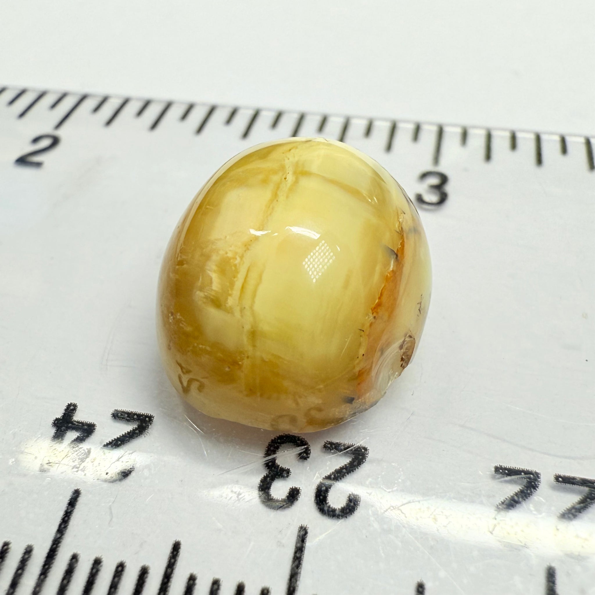 Cats-Eye Opal, 10.11ct, Tanzania, Untreated Unheated