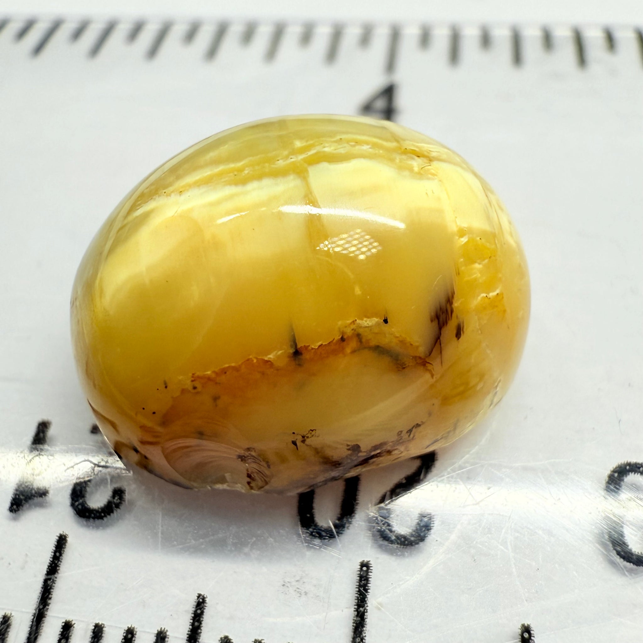 Cats-Eye Opal, 10.11ct, Tanzania, Untreated Unheated