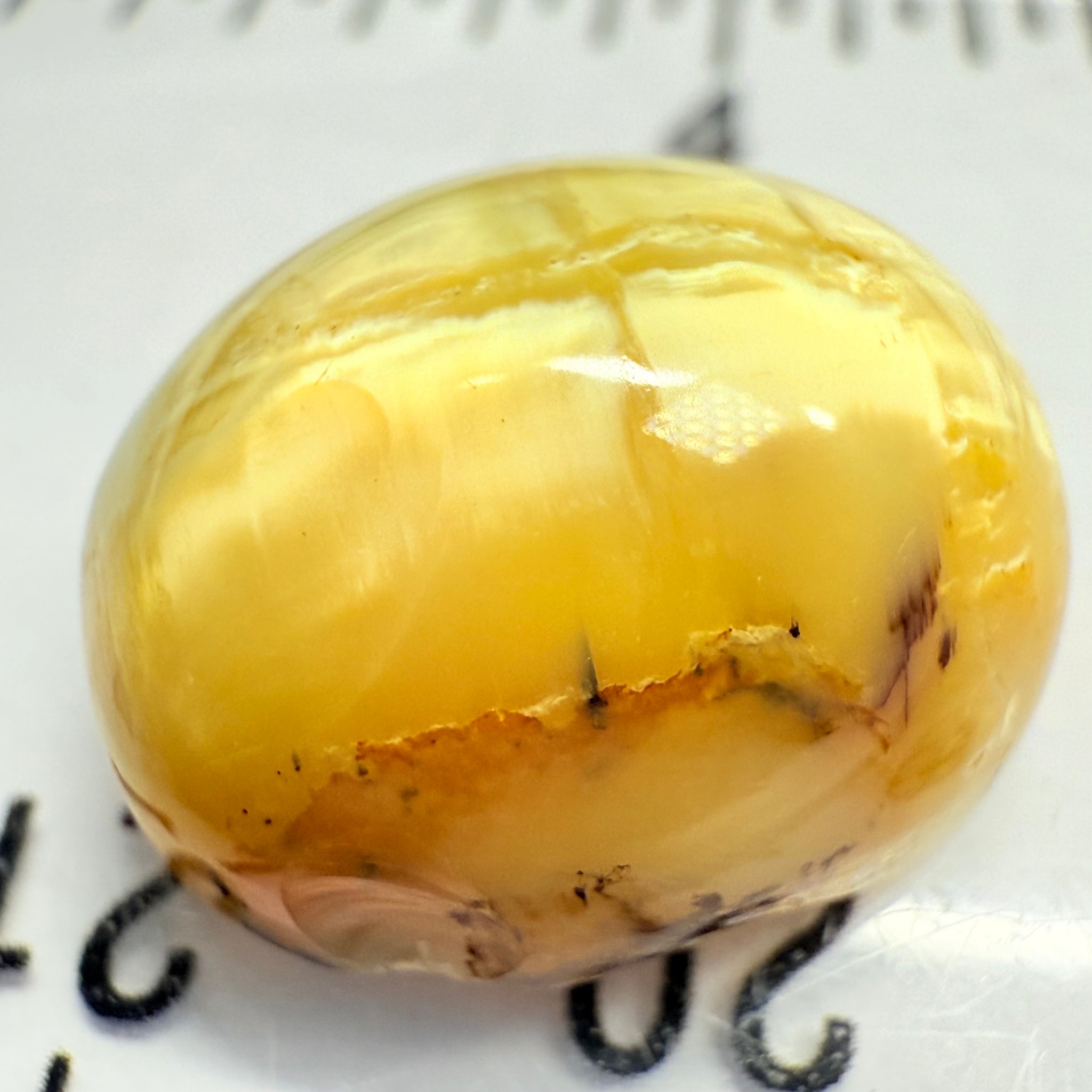 Cats-Eye Opal, 10.11ct, Tanzania, Untreated Unheated