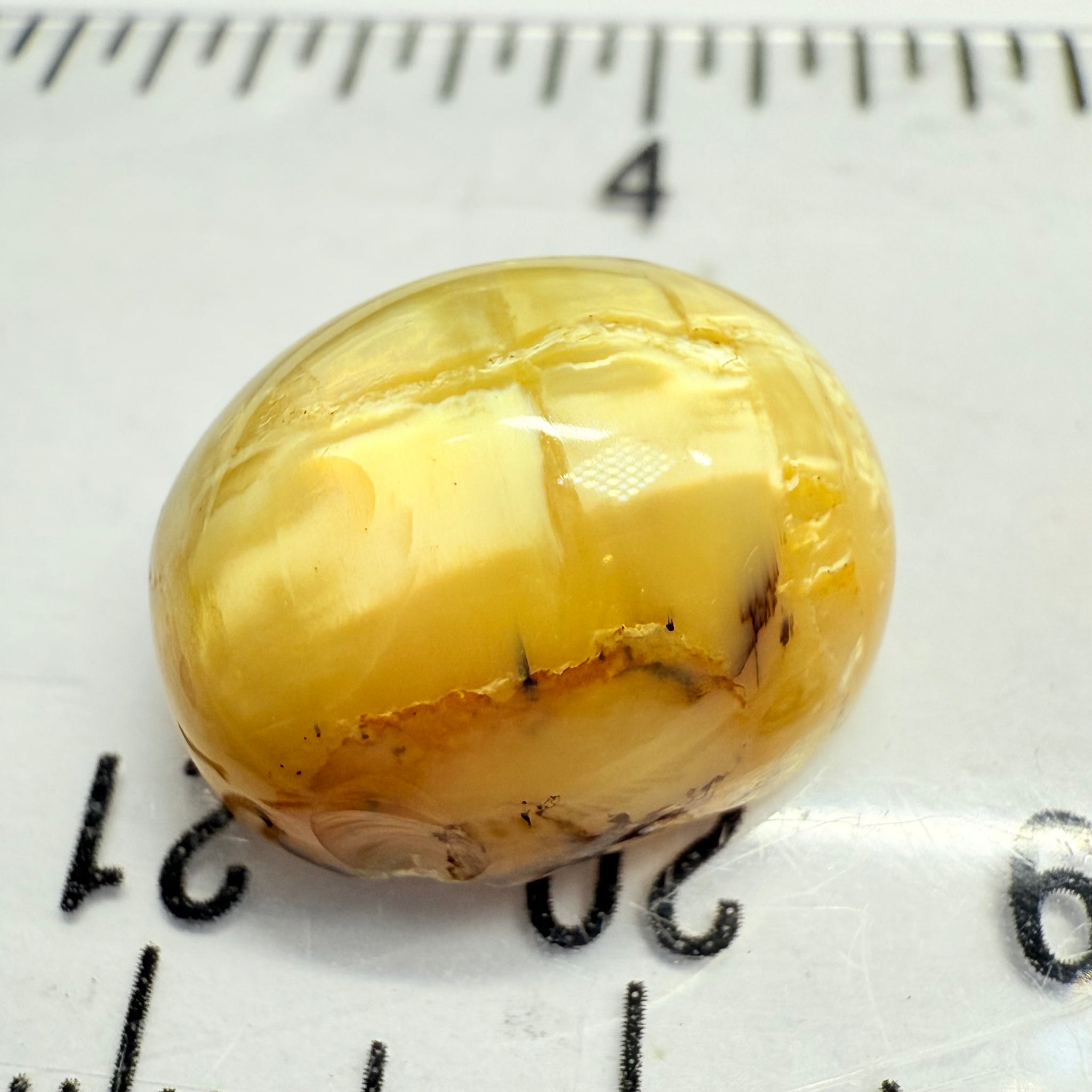 Cats-Eye Opal, 10.11ct, Tanzania, Untreated Unheated