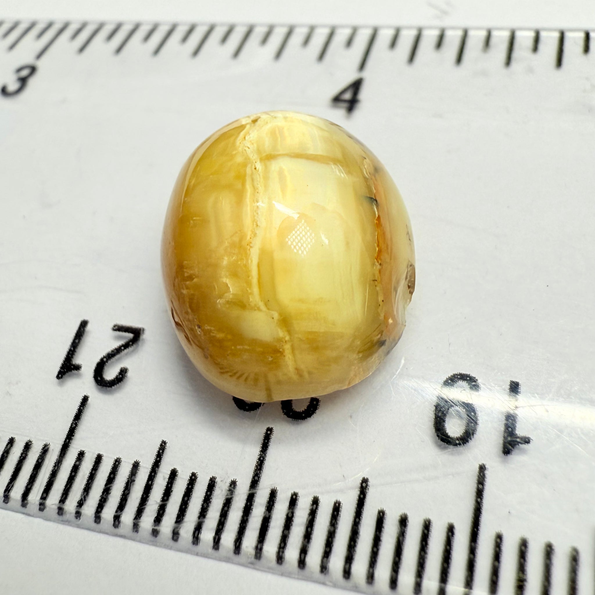 Cats-Eye Opal, 10.11ct, Tanzania, Untreated Unheated