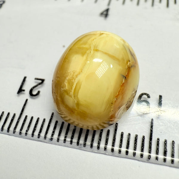 Cats-Eye Opal, 10.11ct, Tanzania, Untreated Unheated