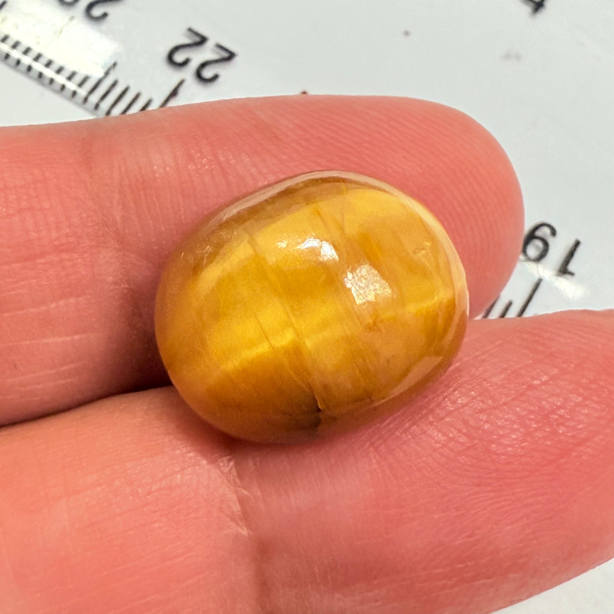 Cats-Eye Opal, 10.92ct, Tanzania, Untreated Unheated