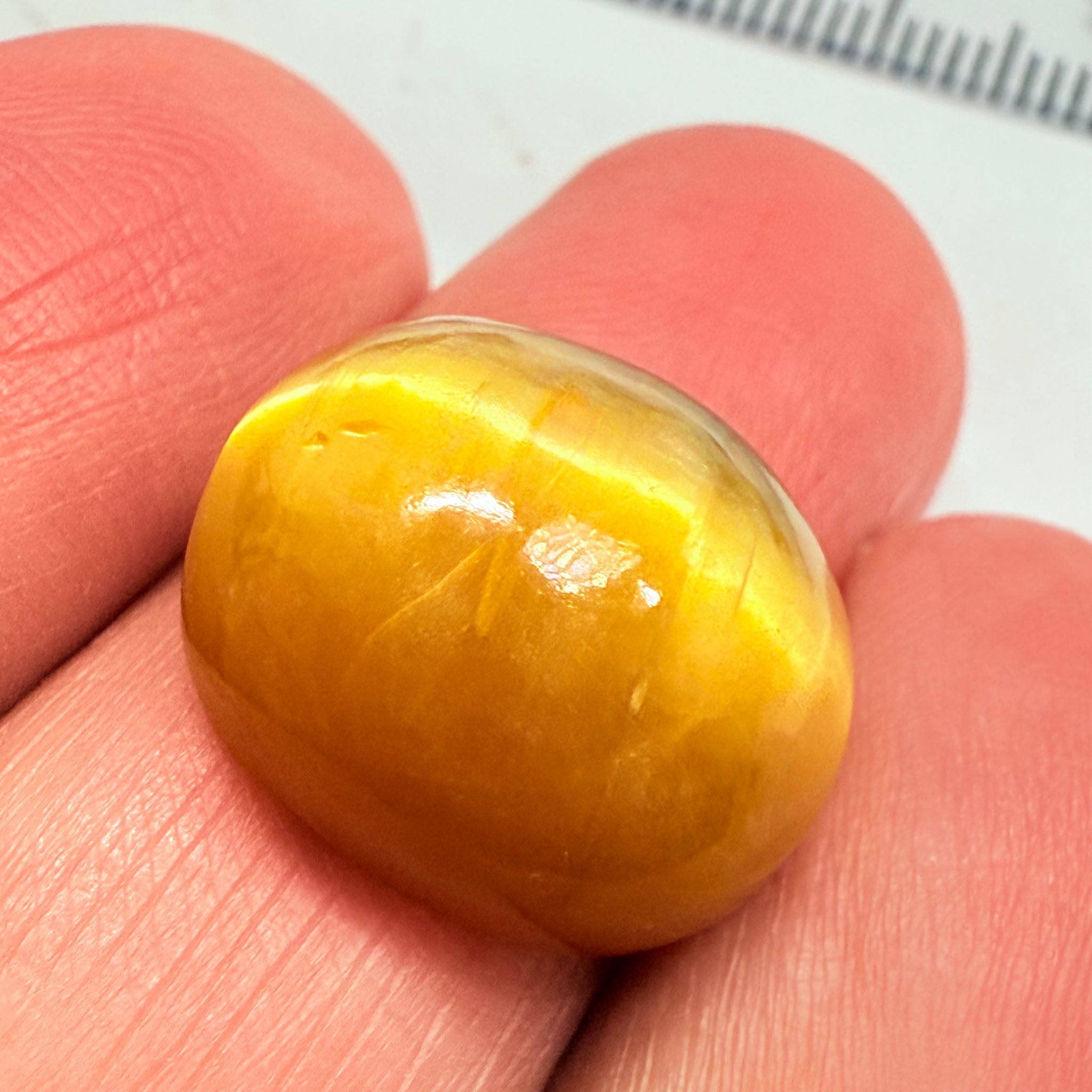 Cats-Eye Opal, 10.92ct, Tanzania, Untreated Unheated