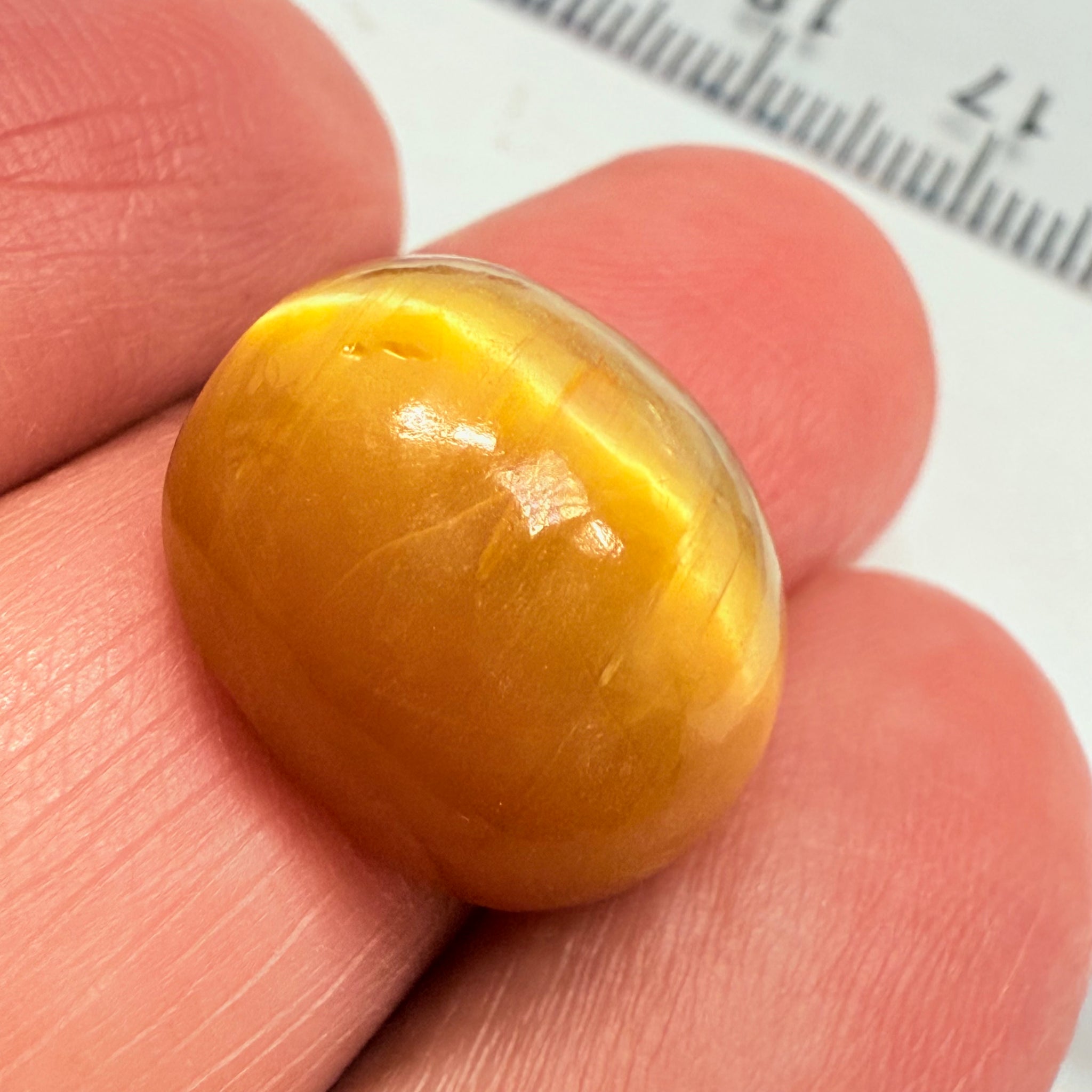 Cats-Eye Opal, 10.92ct, Tanzania, Untreated Unheated