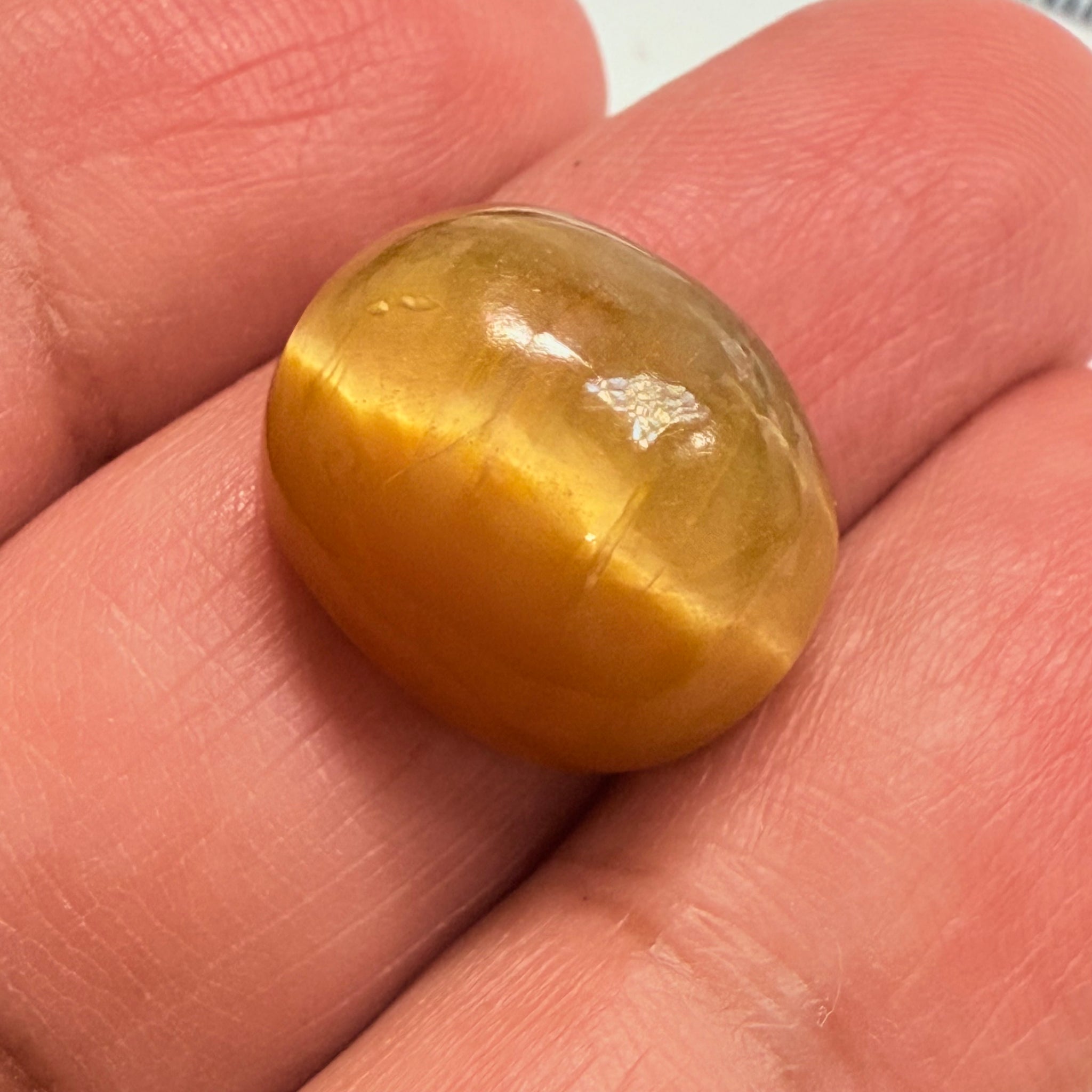 Cats-Eye Opal, 10.92ct, Tanzania, Untreated Unheated