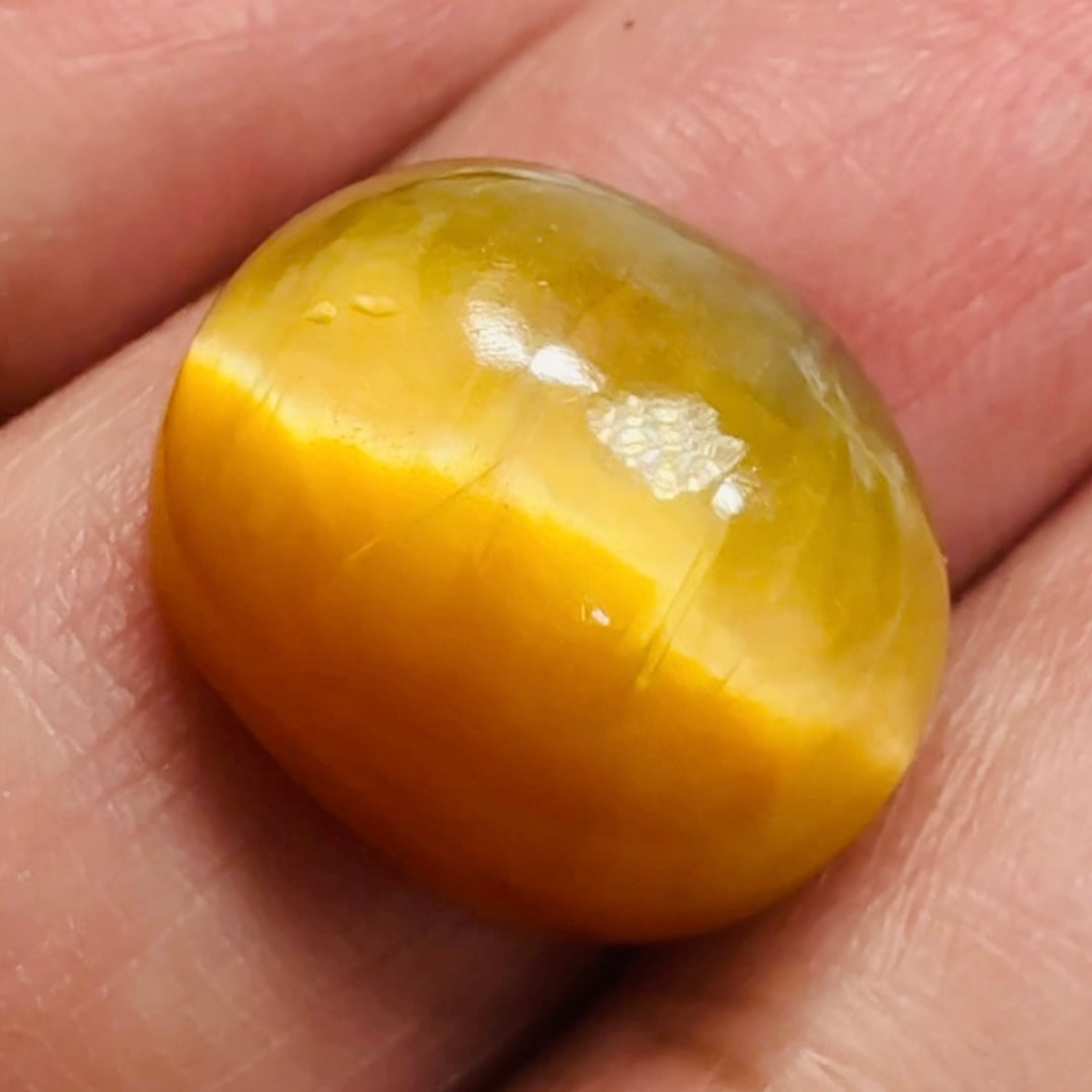 Cats-Eye Opal, 10.92ct, Tanzania, Untreated Unheated