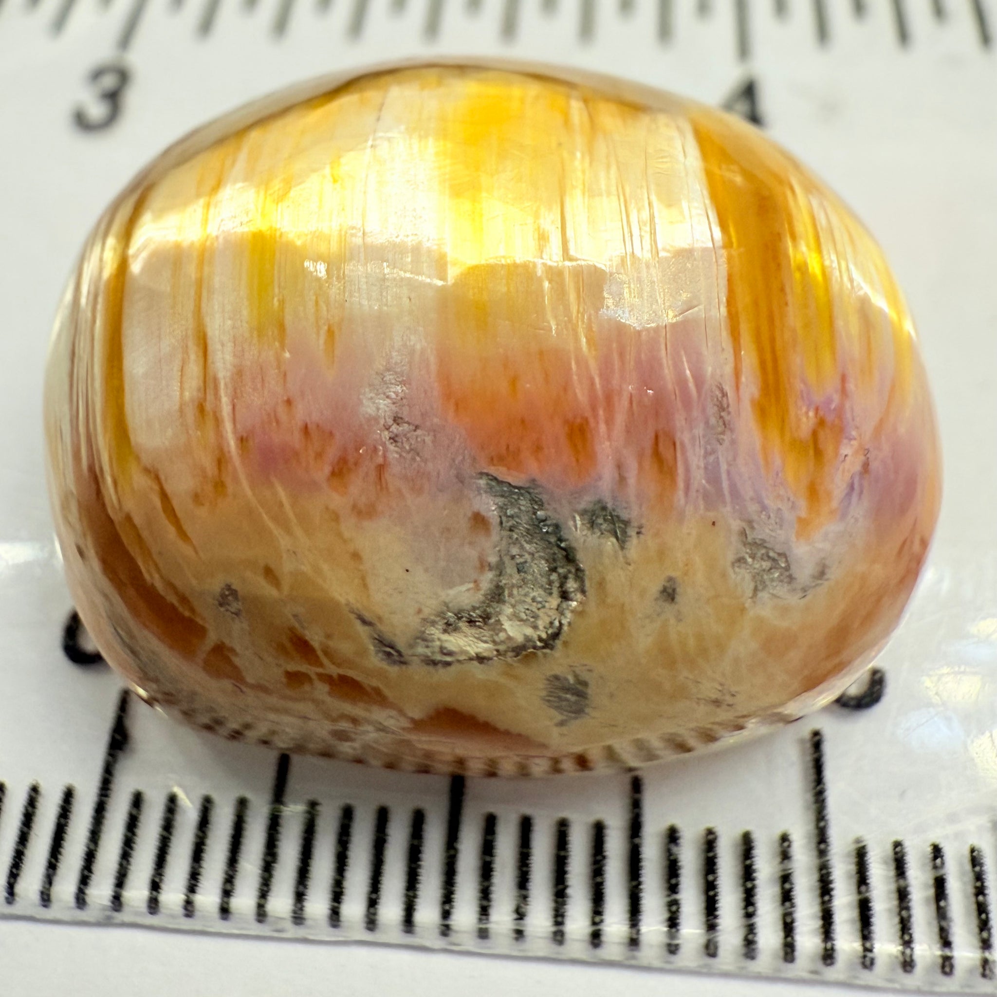 Cats-Eye Opal, 42.42ct, Tanzania, Untreated Unheated