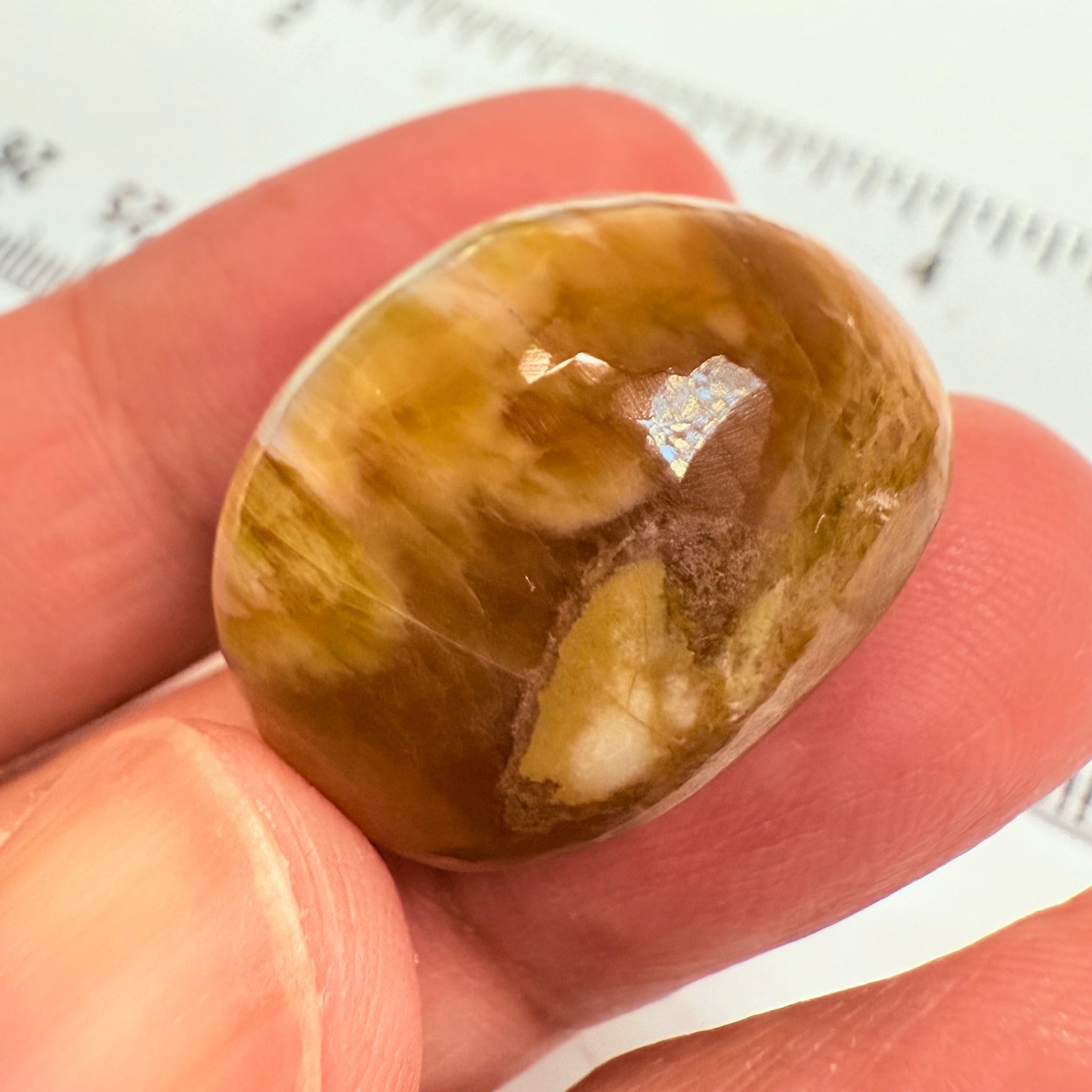 Cats-Eye Opal, 42.42ct, Tanzania, Untreated Unheated