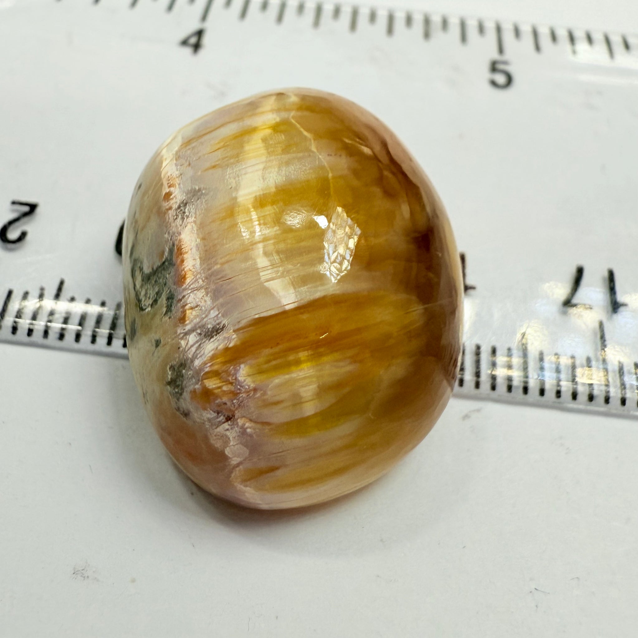 Cats-Eye Opal, 42.42ct, Tanzania, Untreated Unheated