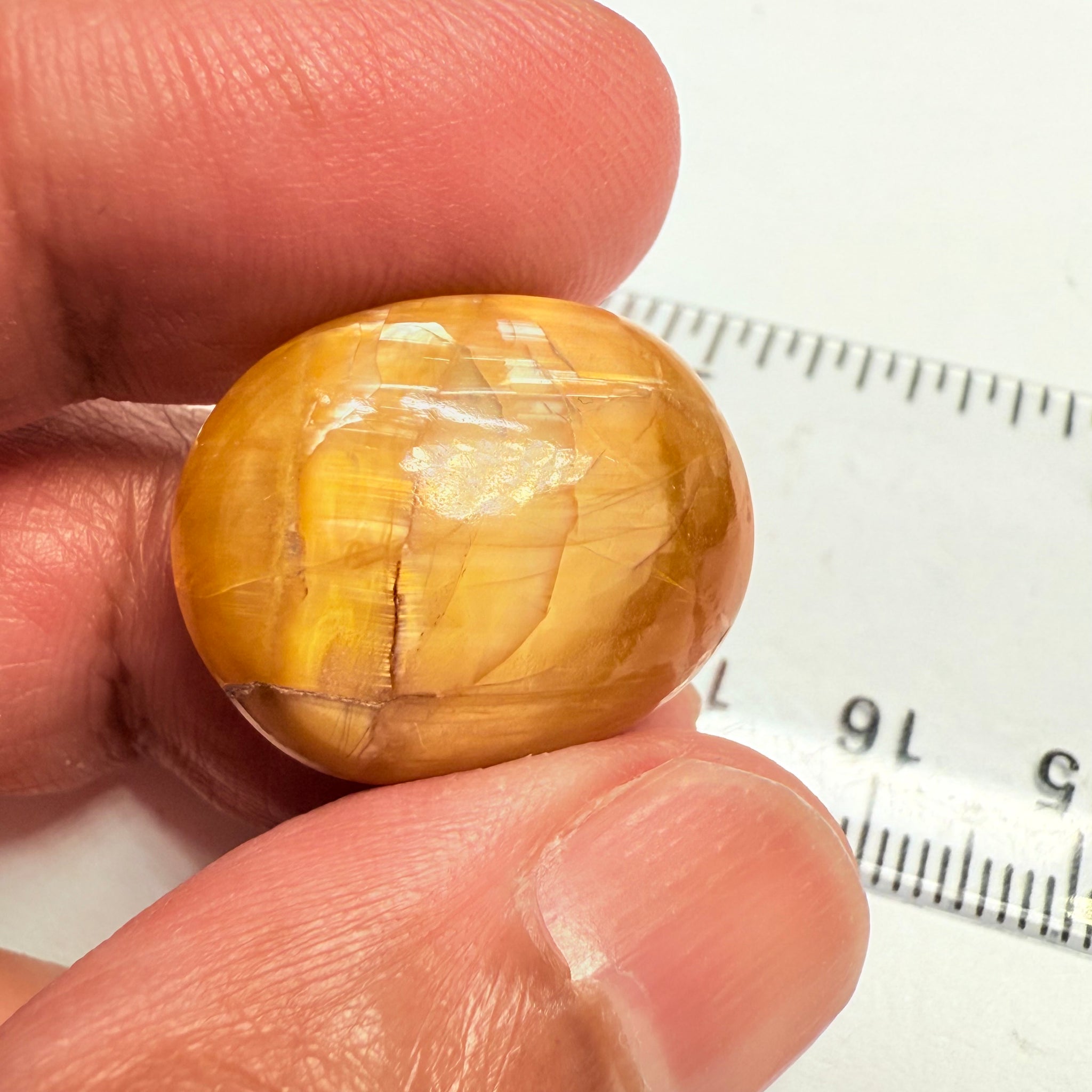 Cats-Eye Opal, 25.85ct, Tanzania, Untreated Unheated