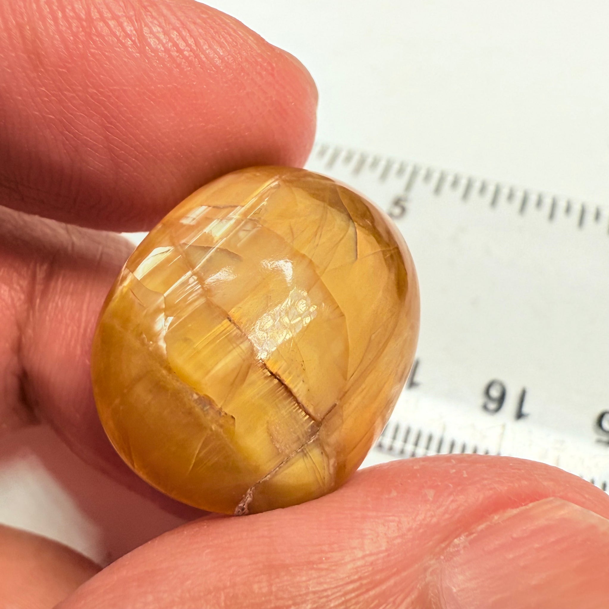 Cats-Eye Opal, 25.85ct, Tanzania, Untreated Unheated